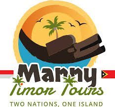 The logo for manny timon tours two nations , one island.
