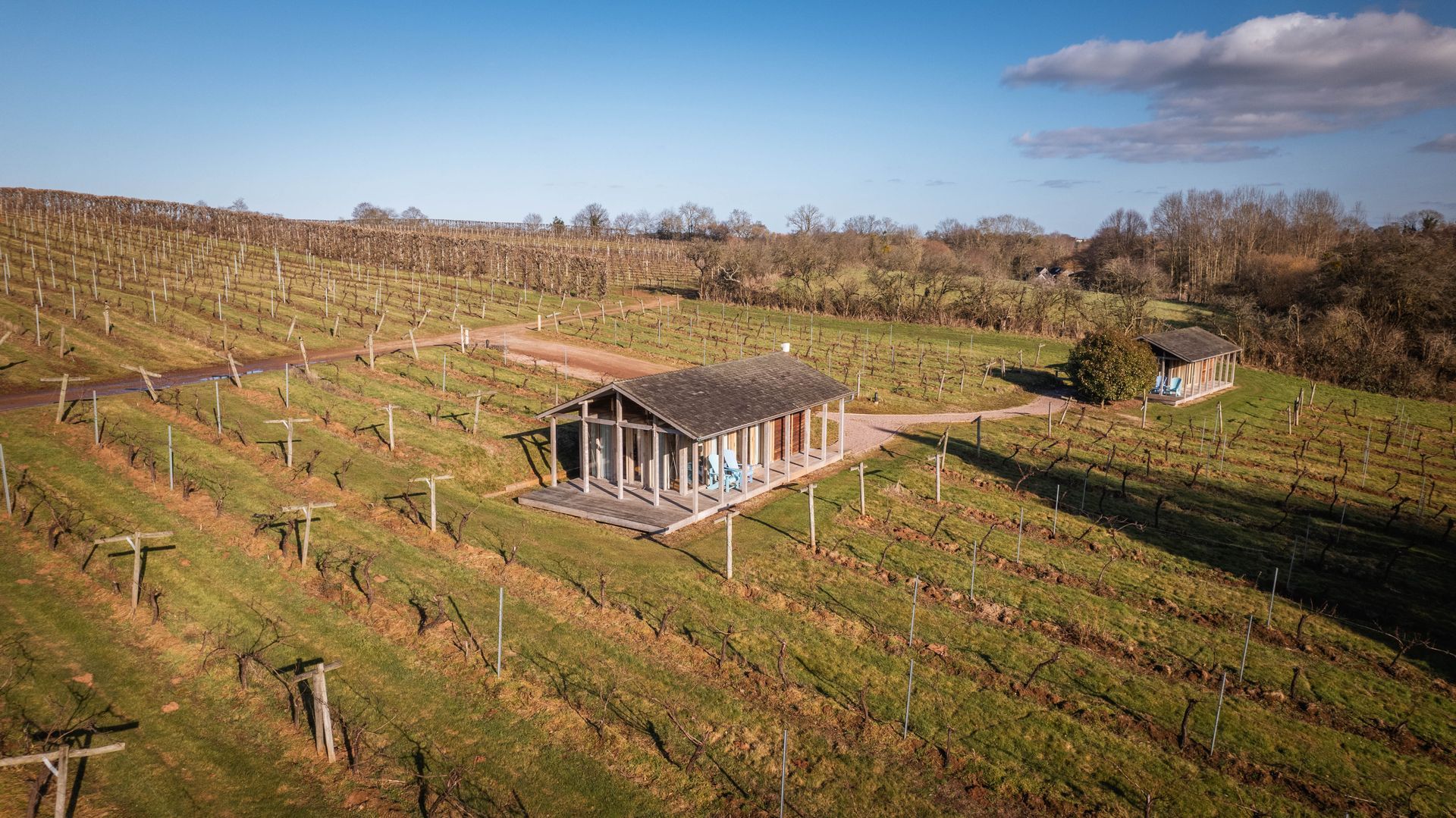 An aerial view shows a vineyard with two small buildings. The rows of plants are in shades of green and brown, set against a blue sky.