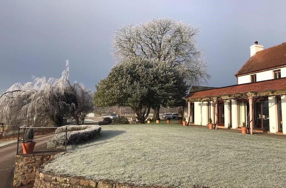 A frosty exterior of a building with a red roof, lush green lawn, and trees with ice-covered branches.