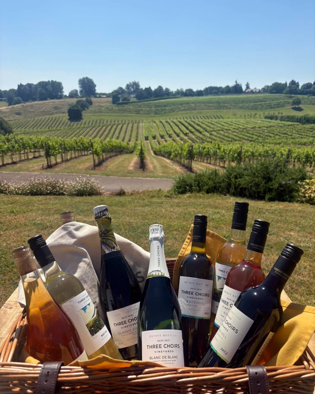 several bottles of wine are lined up in a row