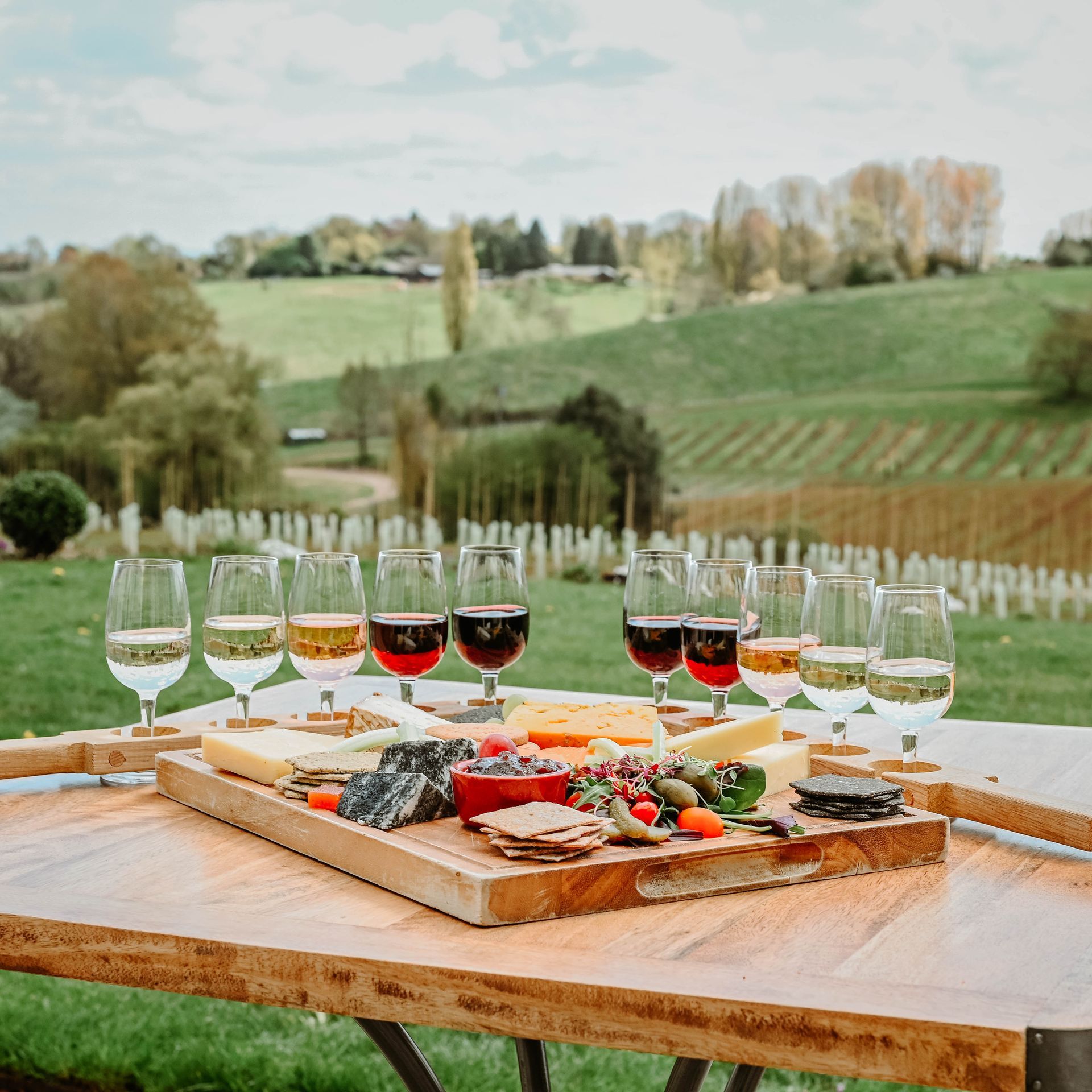 Wine tasting set up outdoors with a cheese board, glasses of wine, and a vineyard in the background.