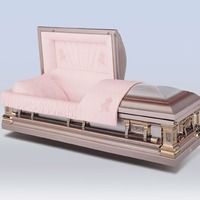 Stainless Steel Casket