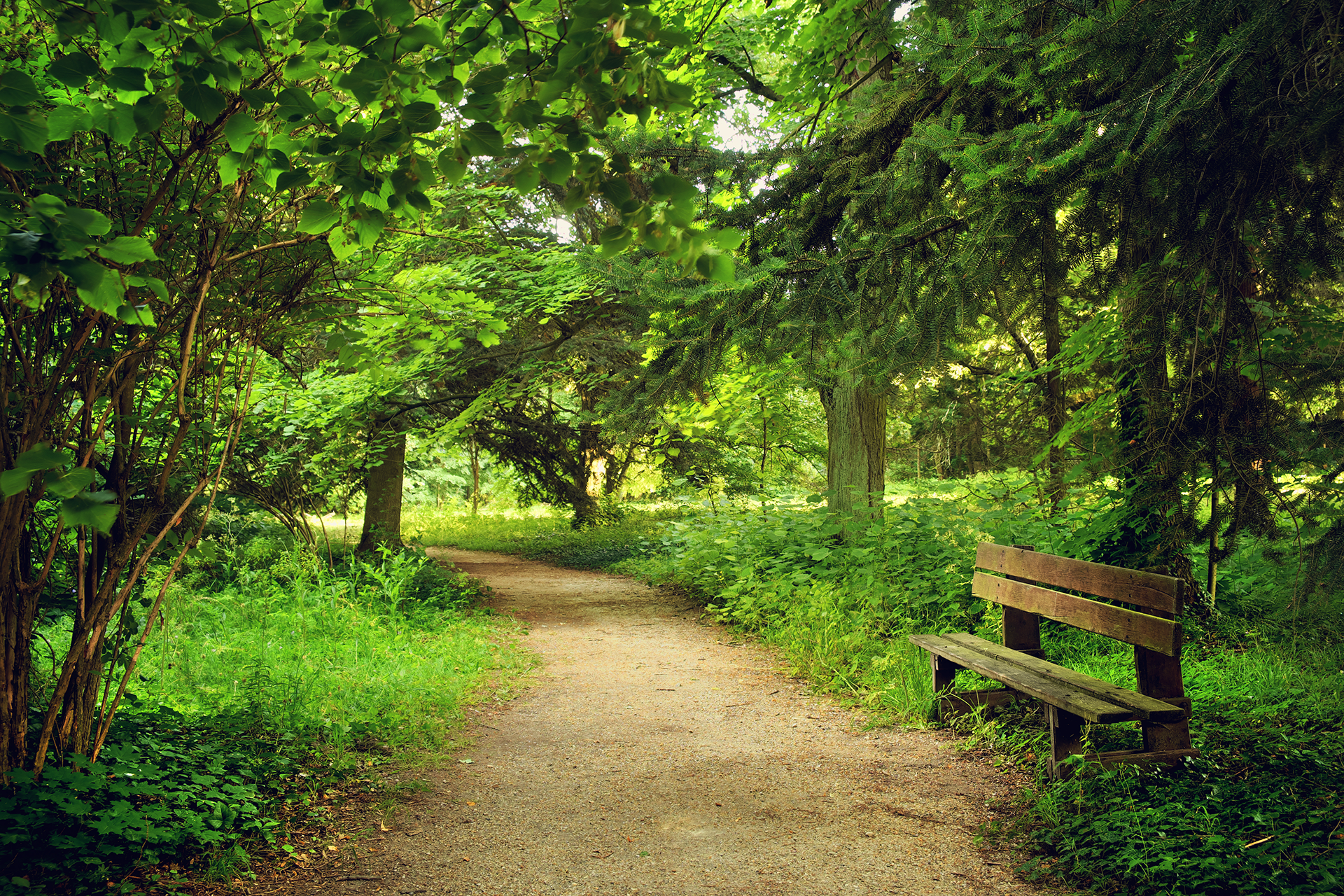 Bench Along A Path
