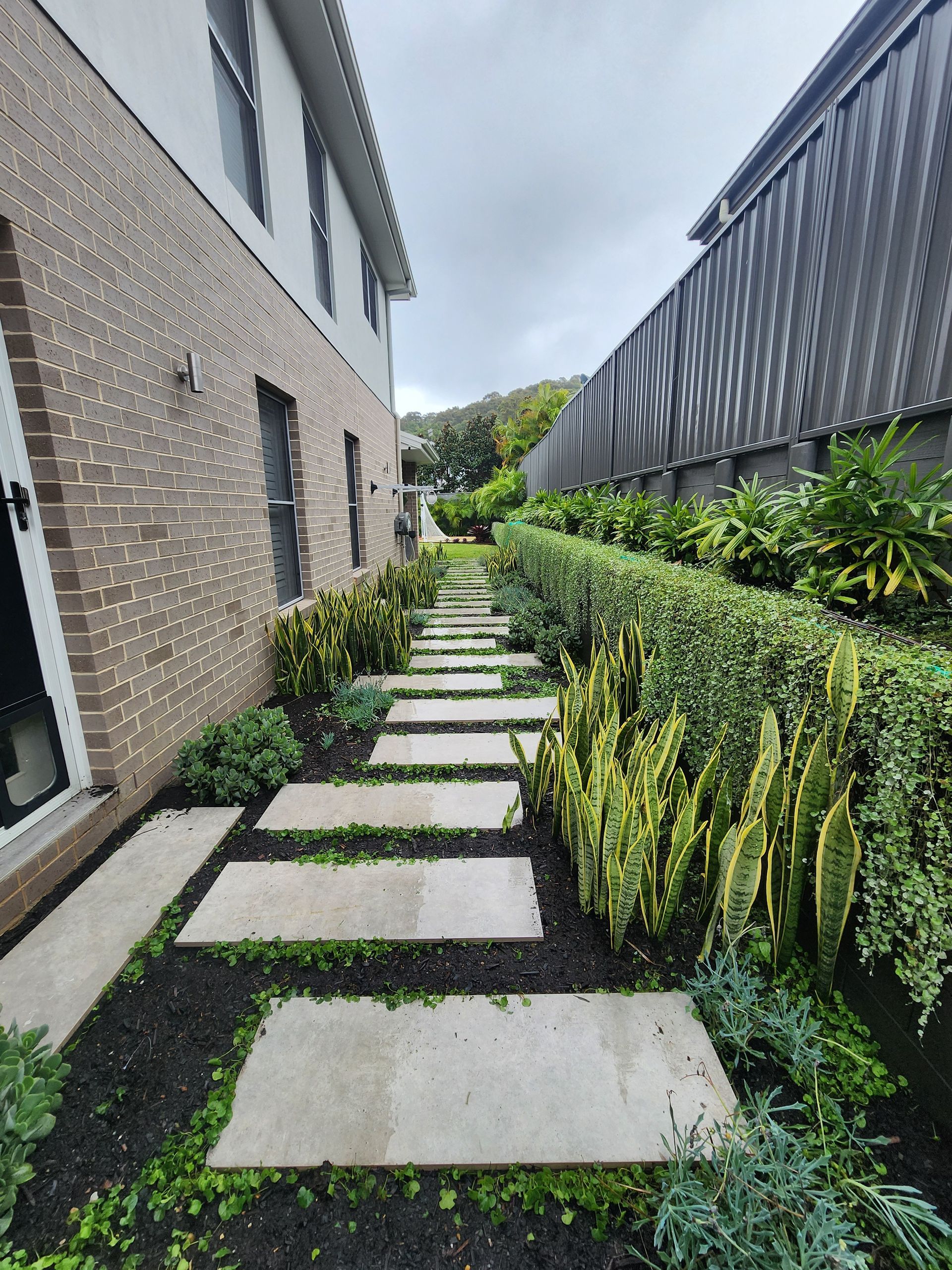 A Landscape With A Concrete Walkway — Green Envy Landscape & Garden Services In Cameron Park NSW