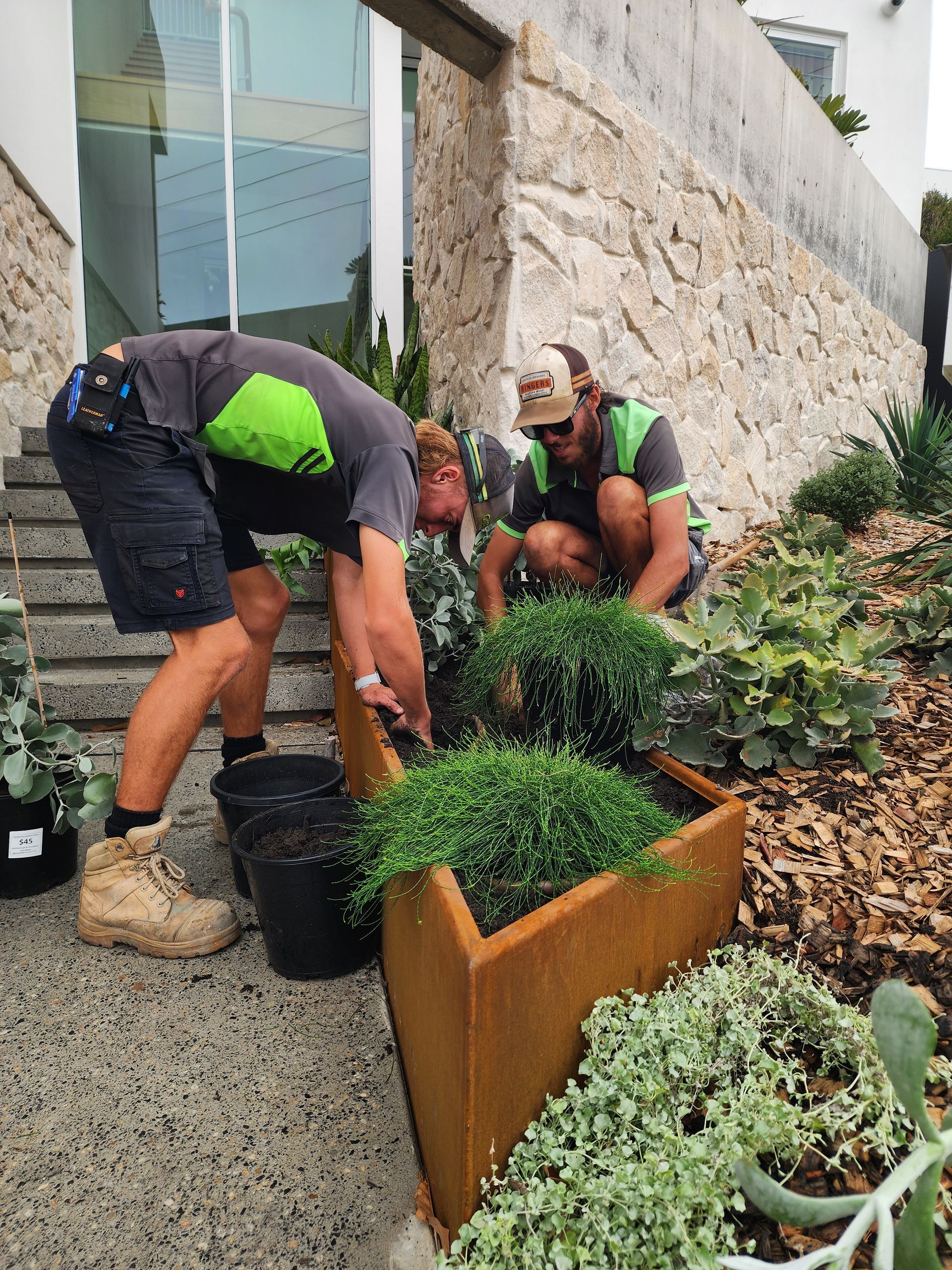 A Lawn With A Brick Wall And A Fence In The Background — Green Envy Landscape & Garden Services In Cameron Park NSW