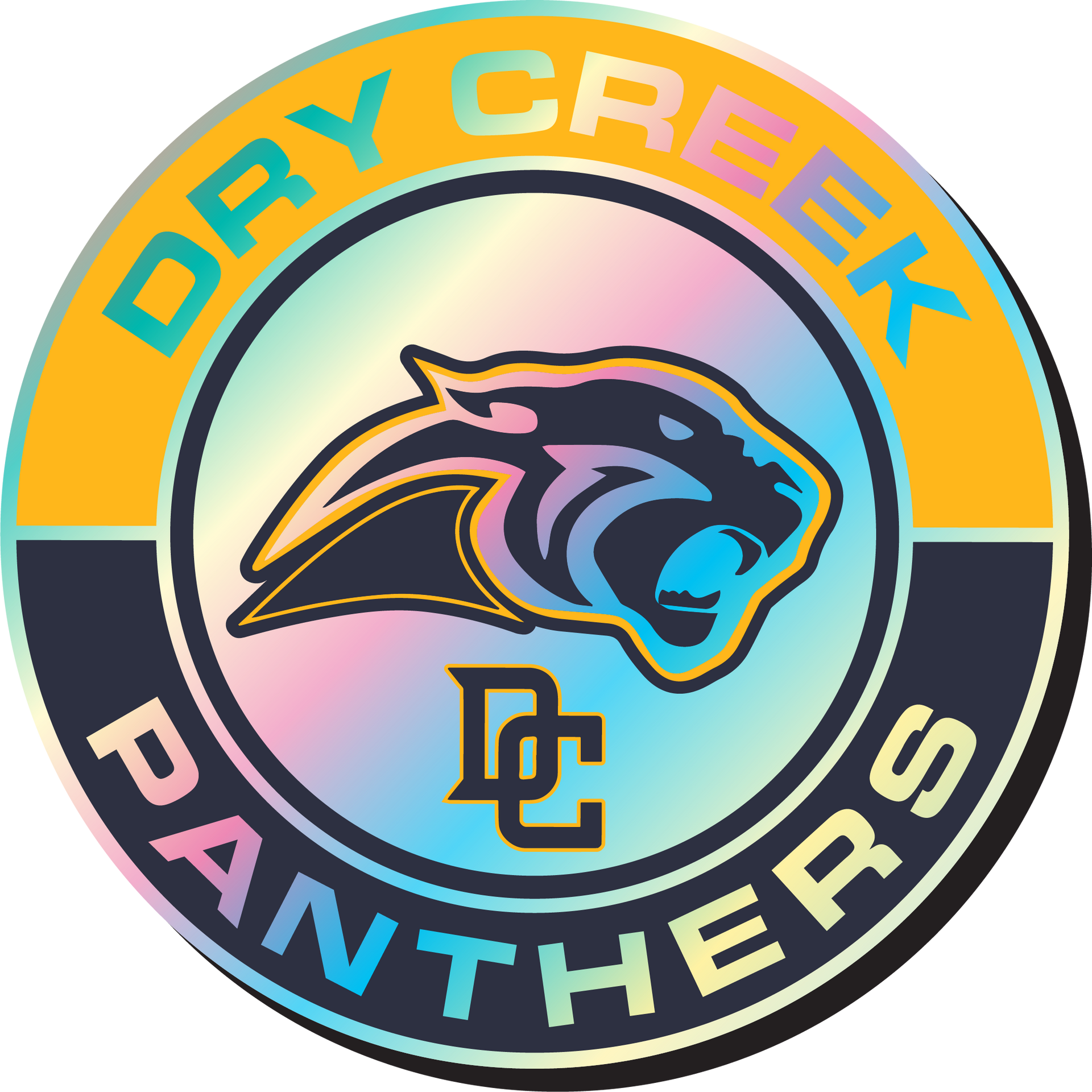 Dry Creek Panthers logo: Panther head in a circle, with text