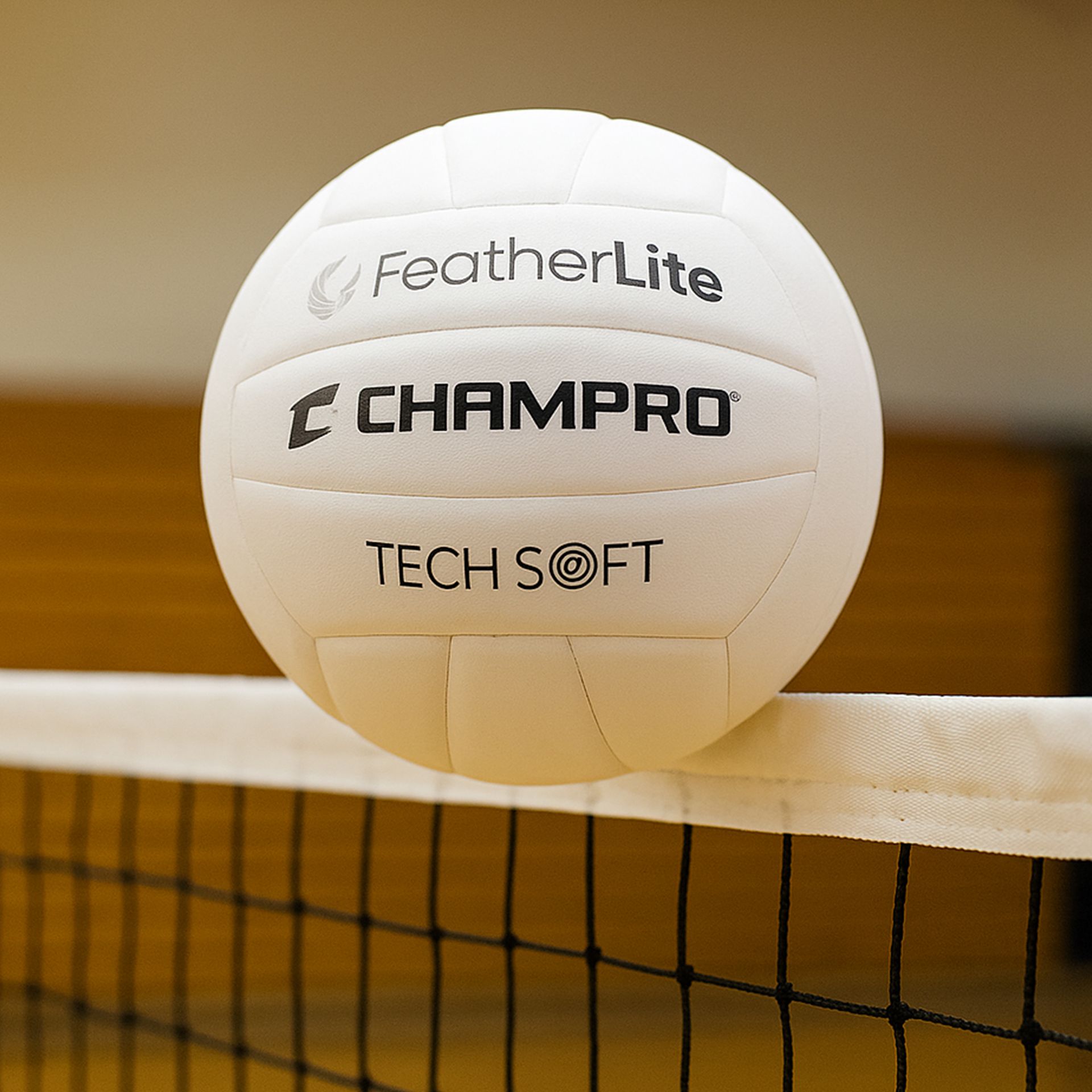 White volleyball resting on a black net.