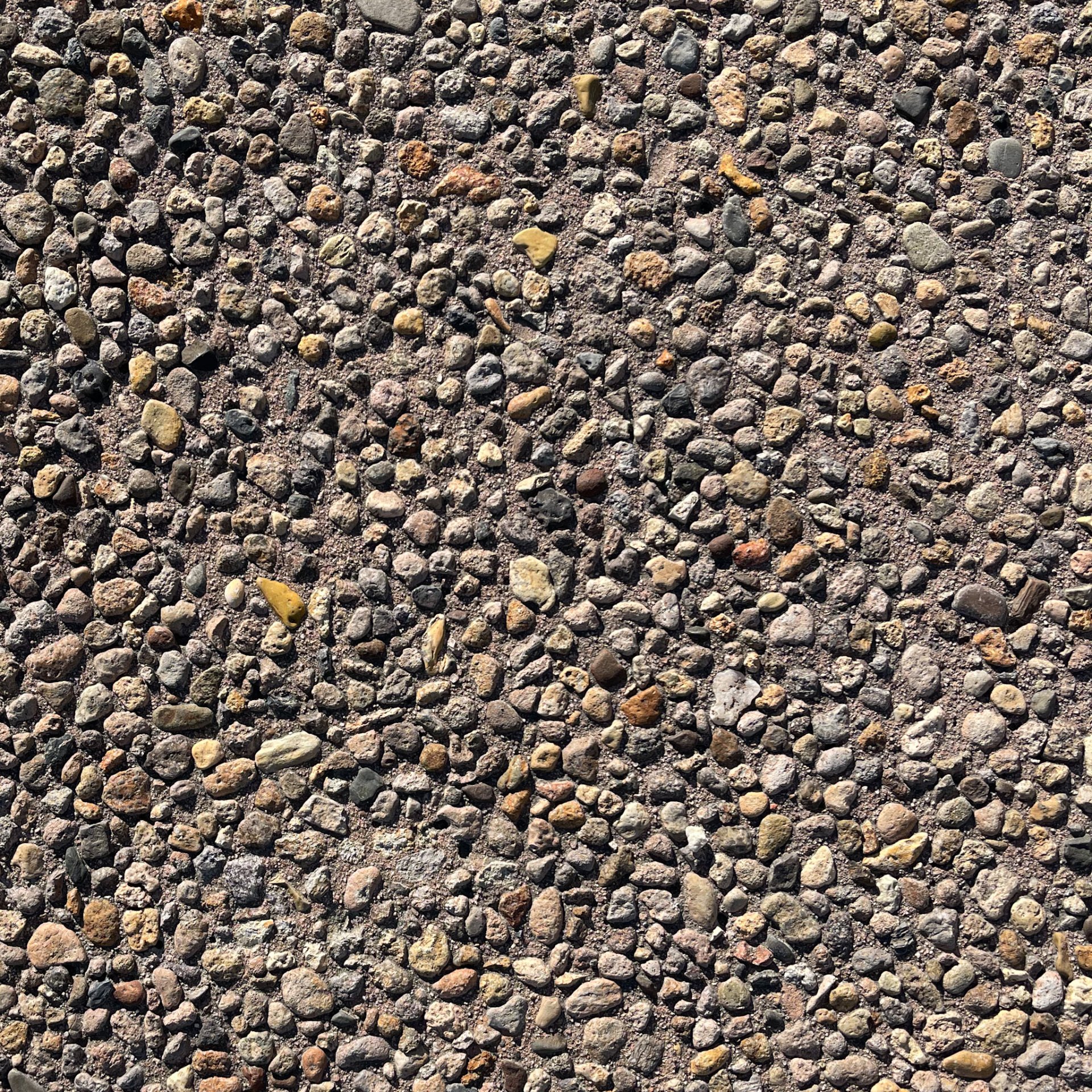 Exposed Aggregate Concrete Supacrete Concrete Tauranga