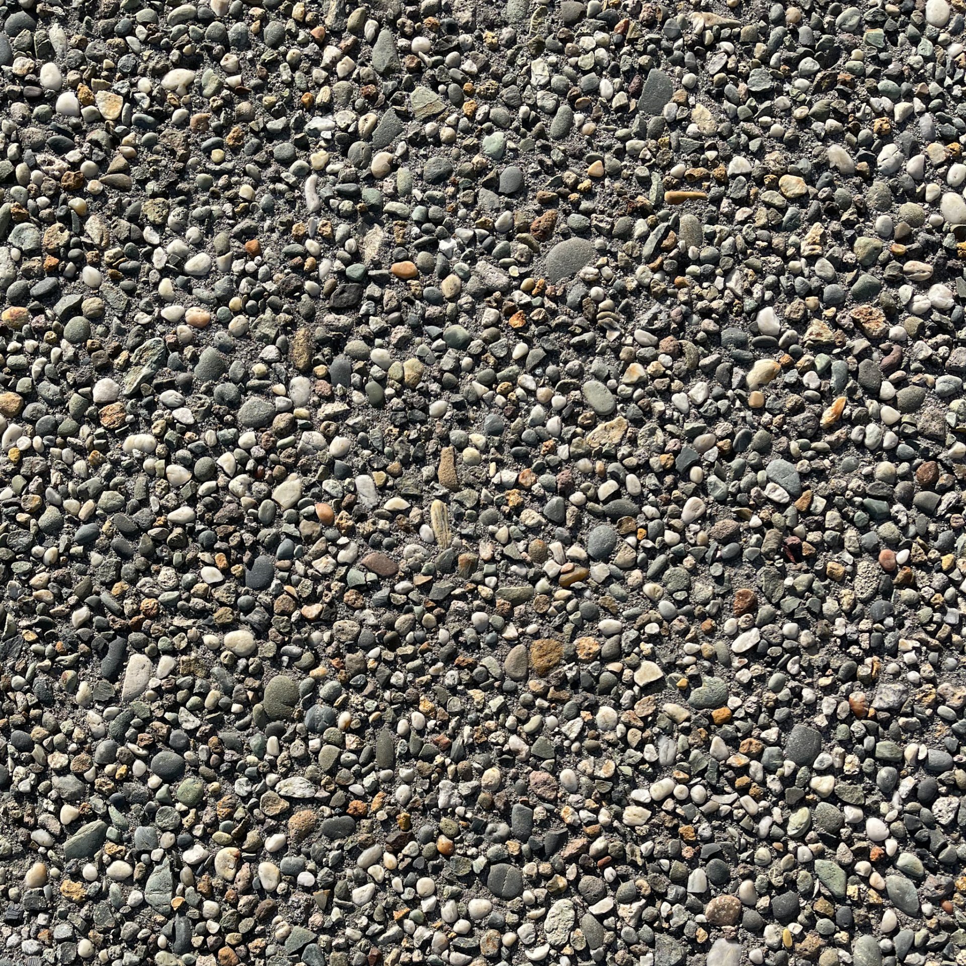 Exposed Aggregate Concrete Supacrete Concrete Tauranga