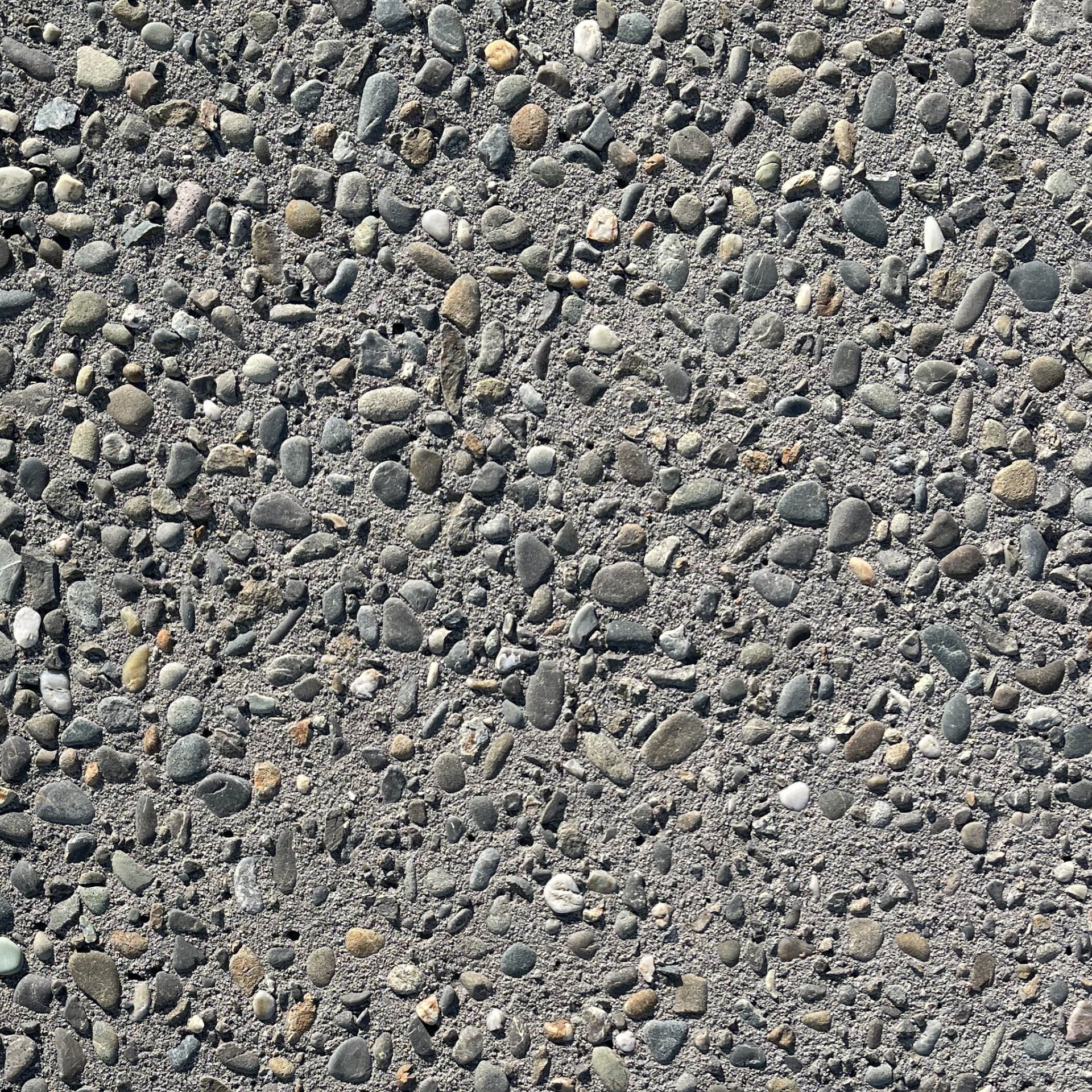 Dust Button Exposed Aggregate Concrete | Supacrete Concrete Tauranga