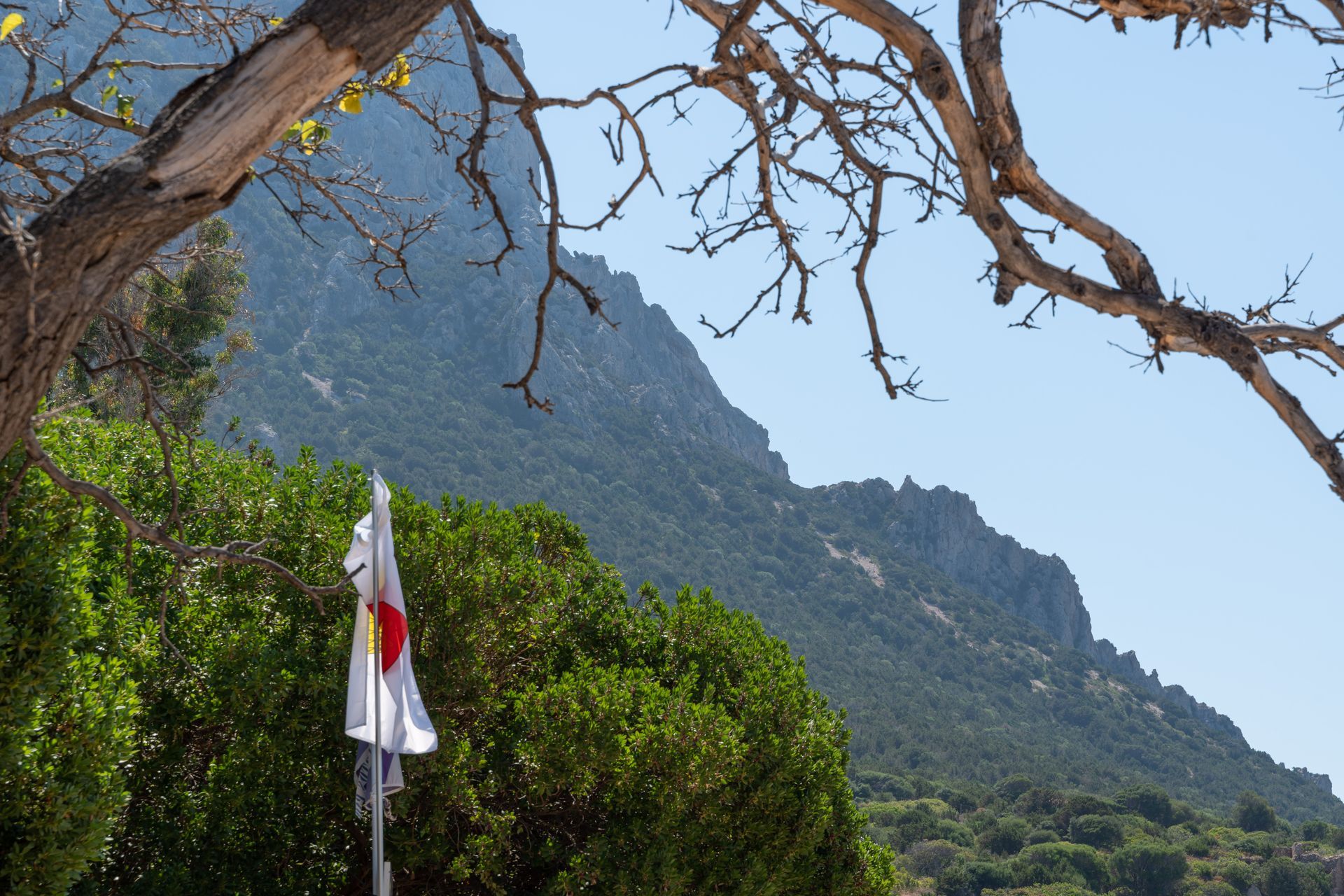 Vista sulle montagne da un bar sulla spiaggia con rami di alberi e ombrelloni.