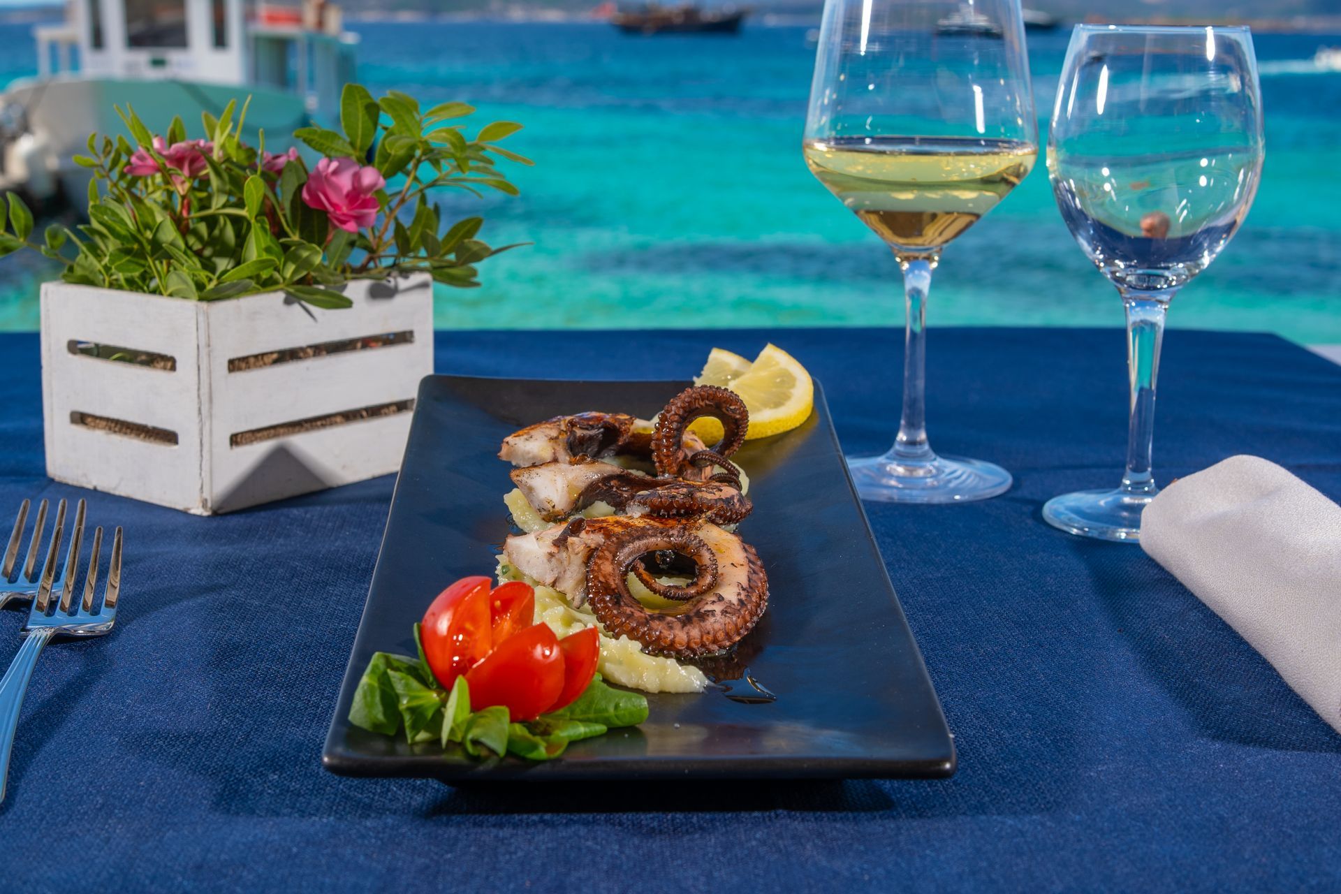 grilled octopus