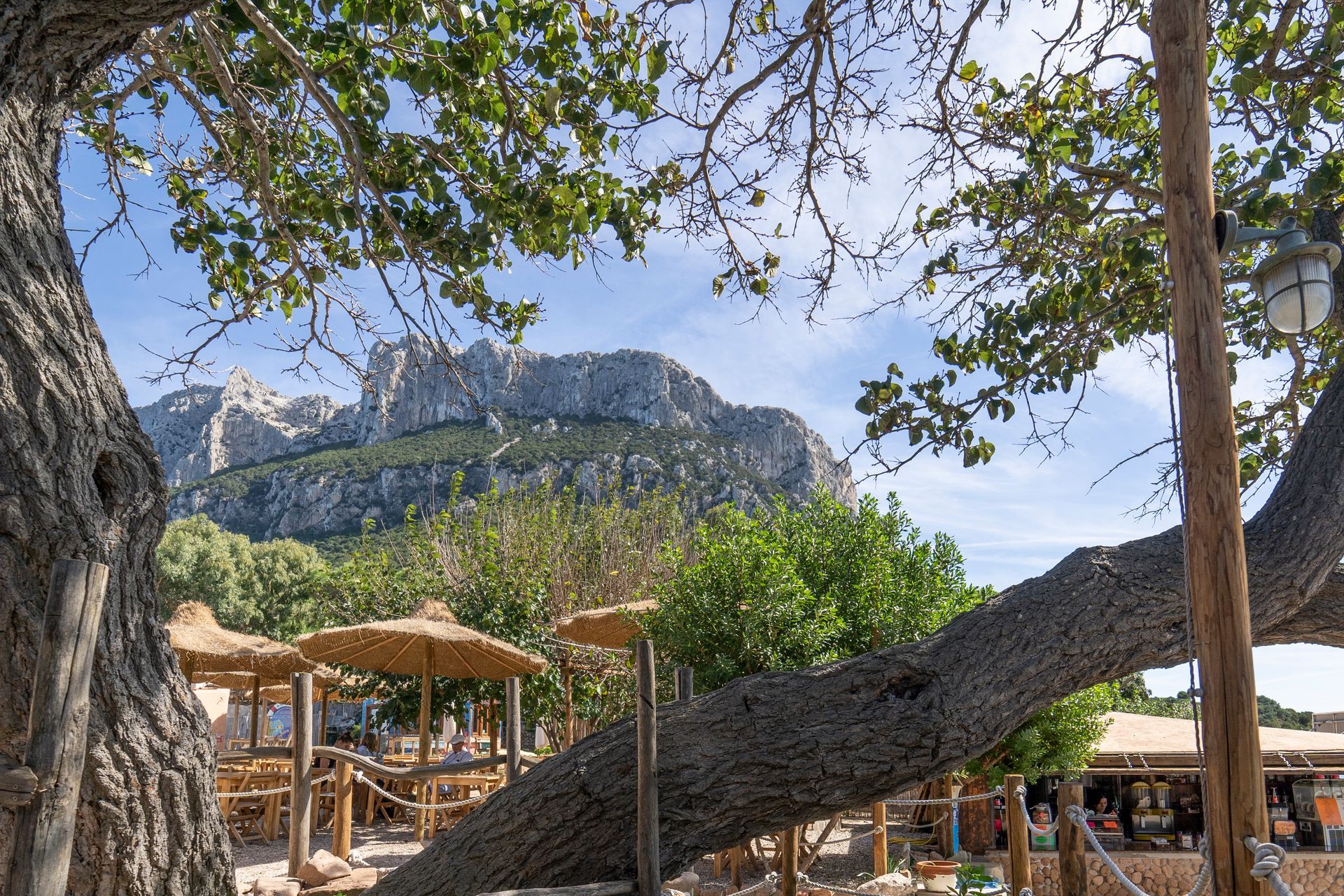 Vista sulle montagne da un bar sulla spiaggia con rami di alberi e ombrelloni.
