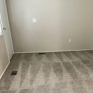 A room with beige walls and freshly vacuumed, light brown flecked carpet showing distinct cleaning lines.