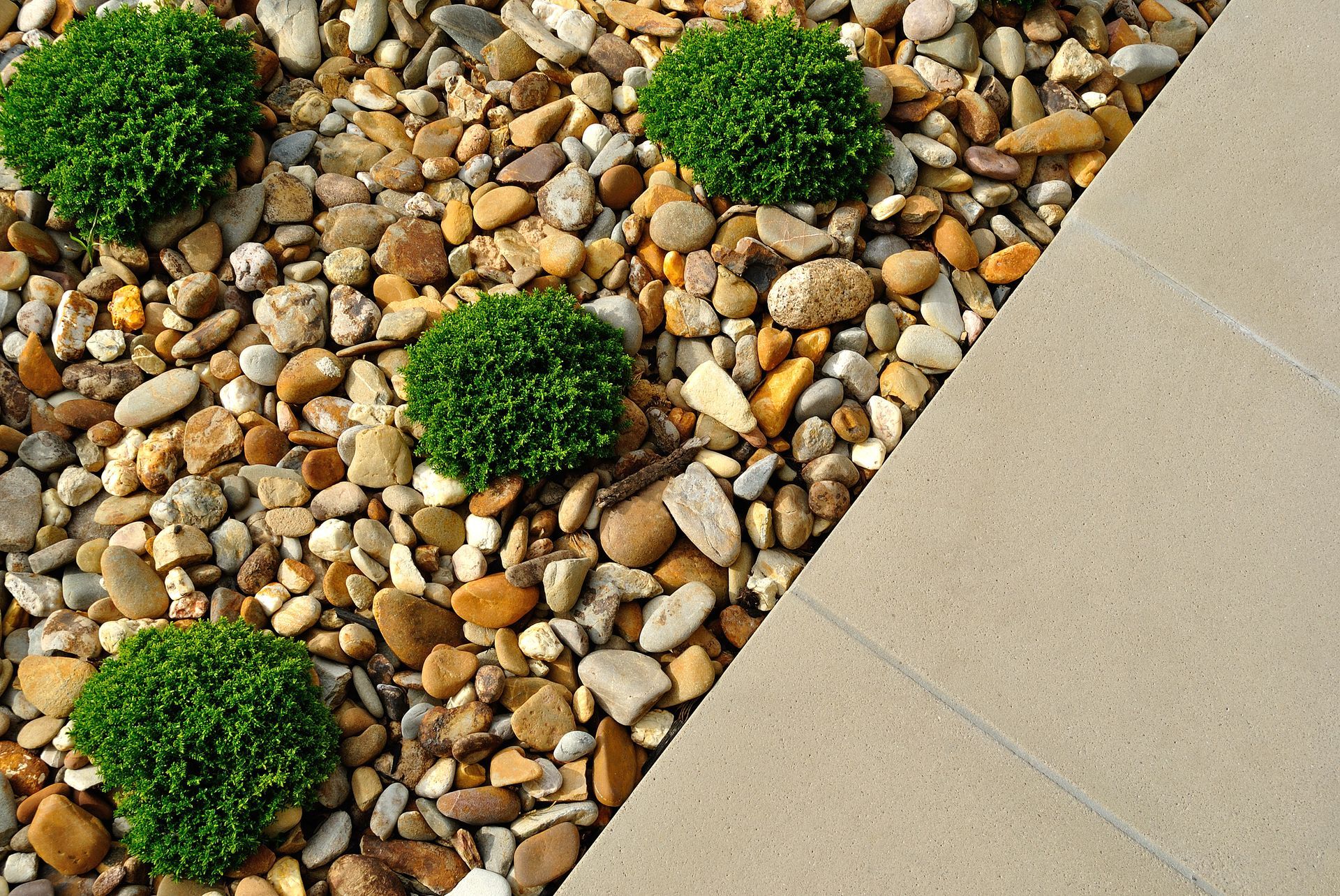 Landscaped backyard with stone patio