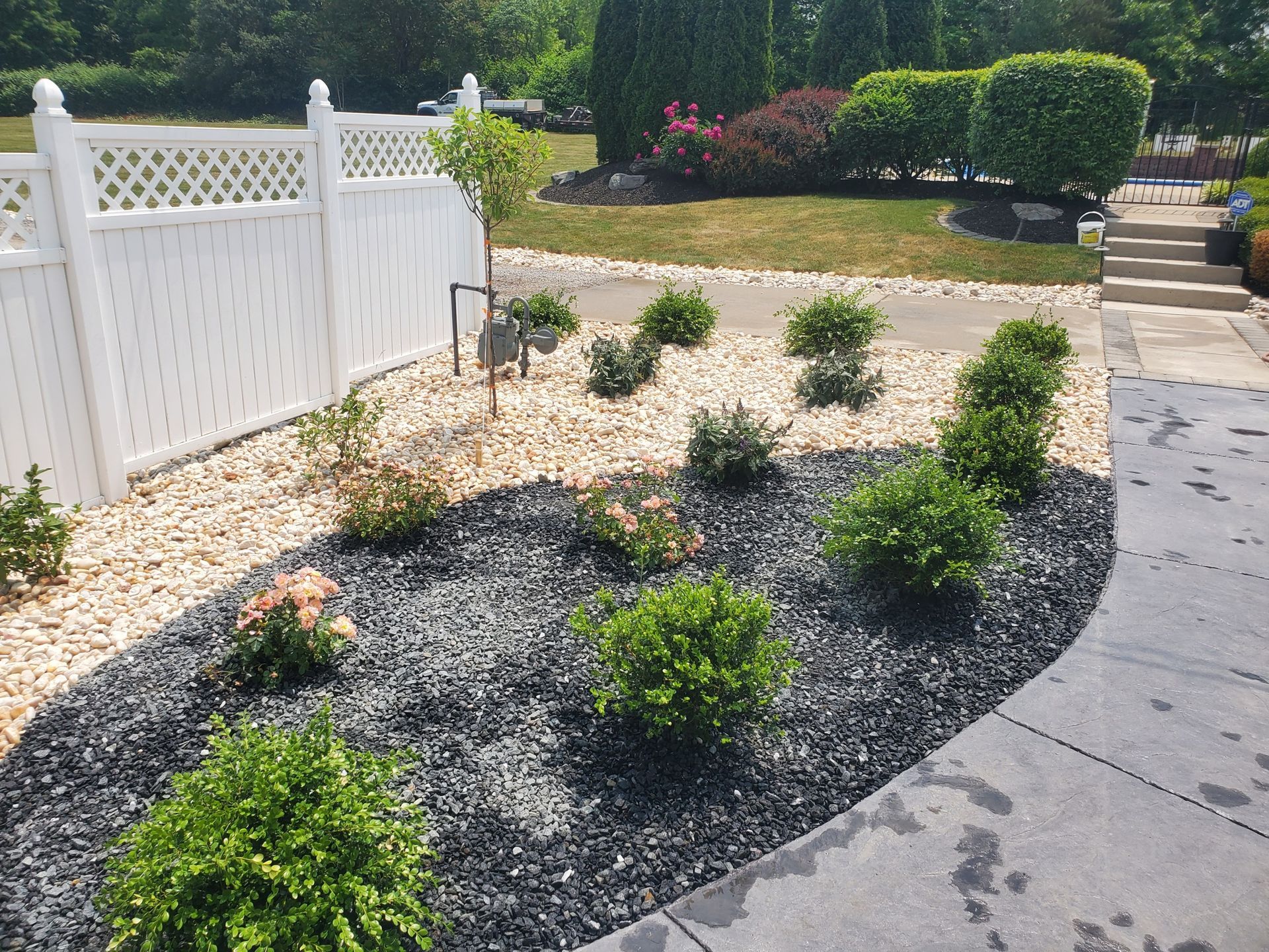 Mulched garden bed with young shrubs beside a white fence and paved walkway