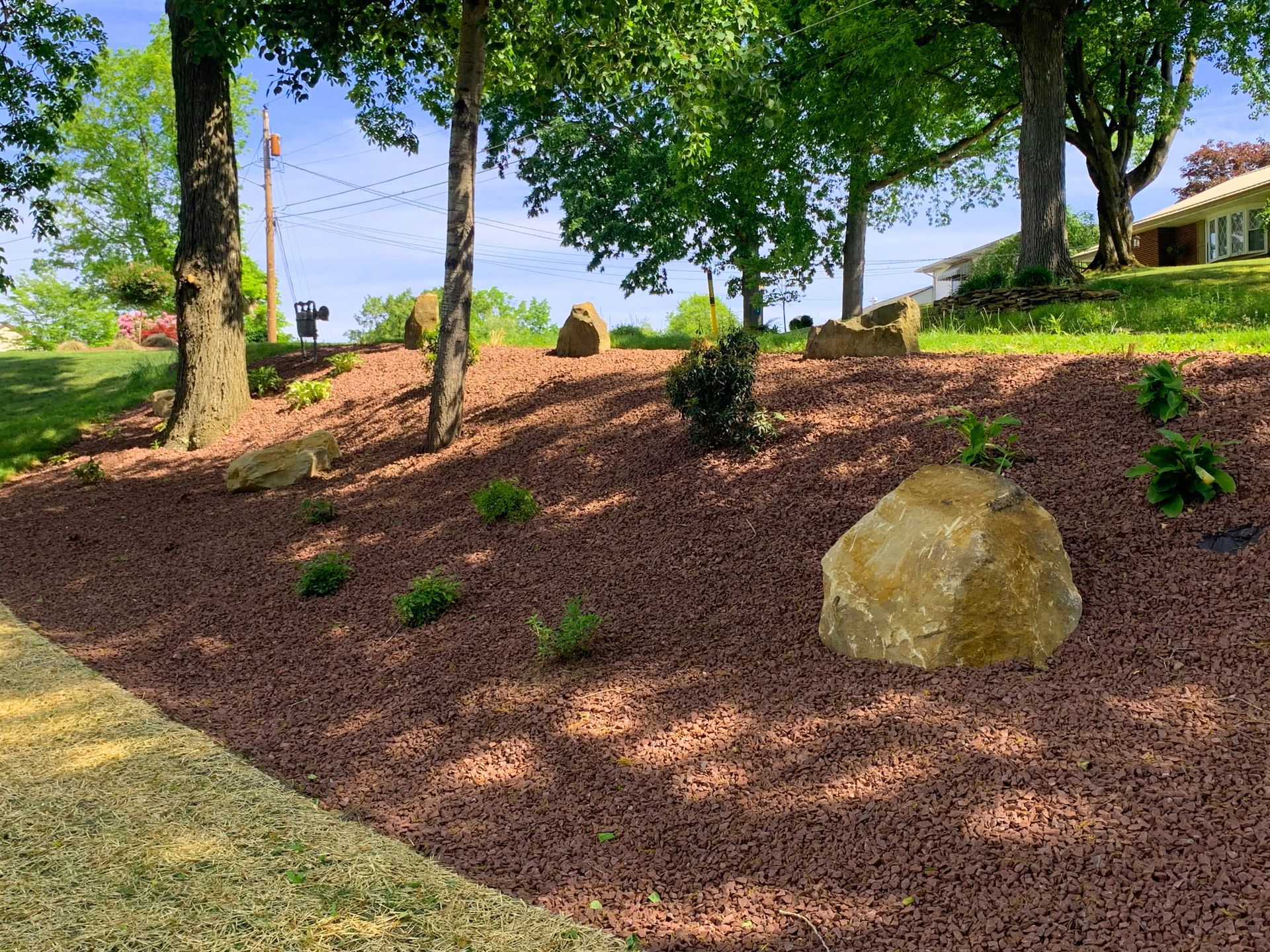Landscaped park hillside with trees, mulch, and large rocks under a blue sky
