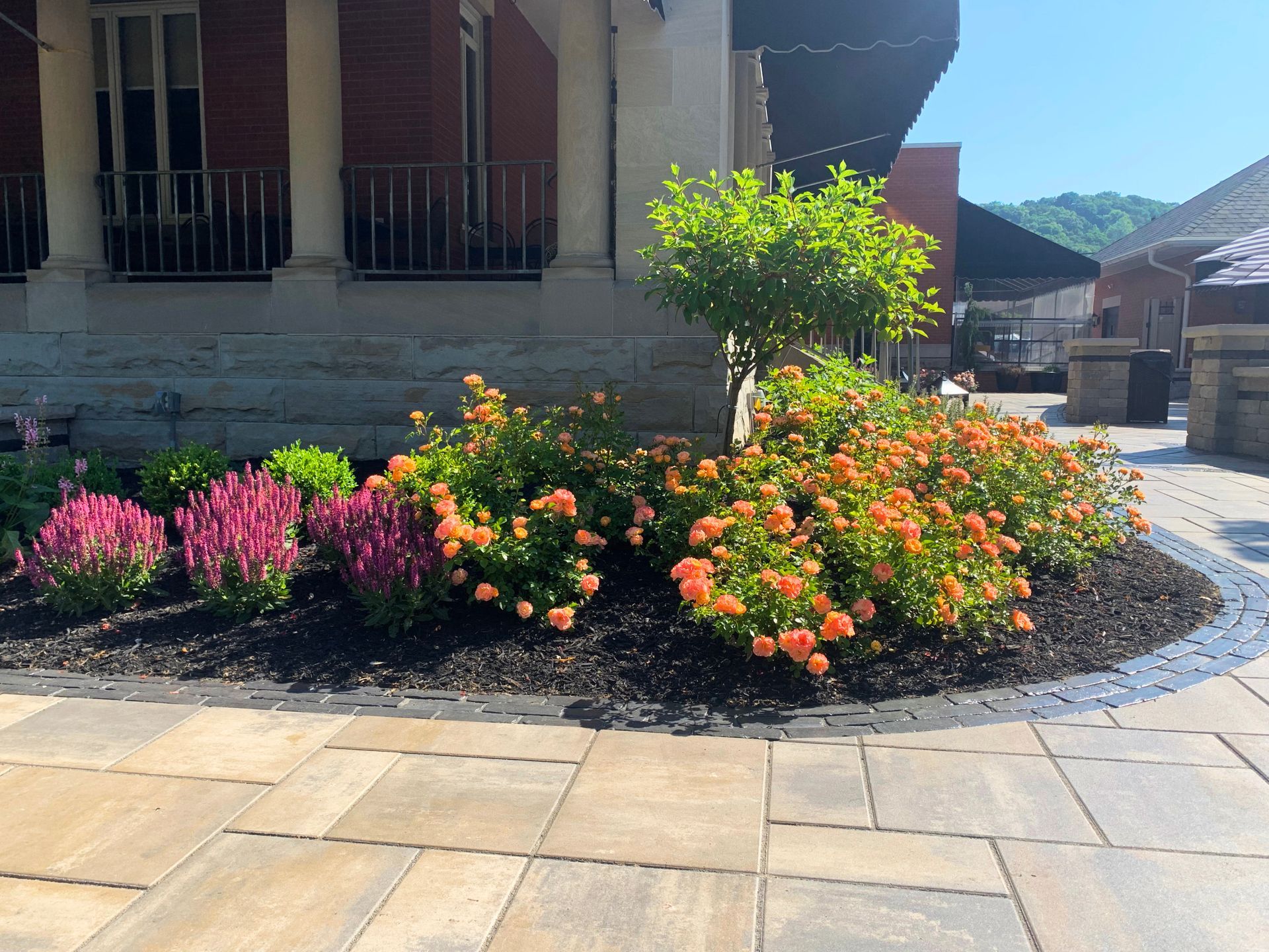 Colorful flower bed with pink and orange blooms beside a stone building and paved walkway