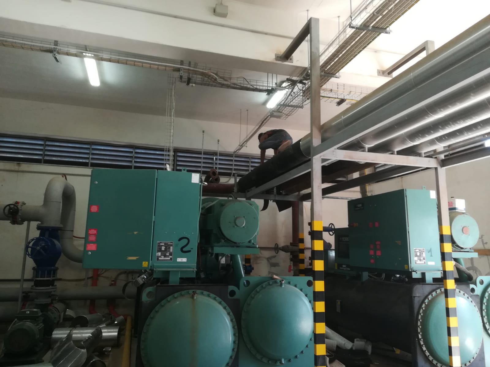 Apparecchiature di refrigerazione industriale in una sala macchine, dotate di grandi compressori e tubazioni verdi.