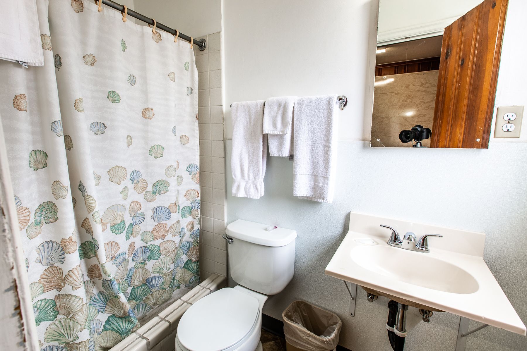 A bathroom with a toilet , sink and shower curtain.