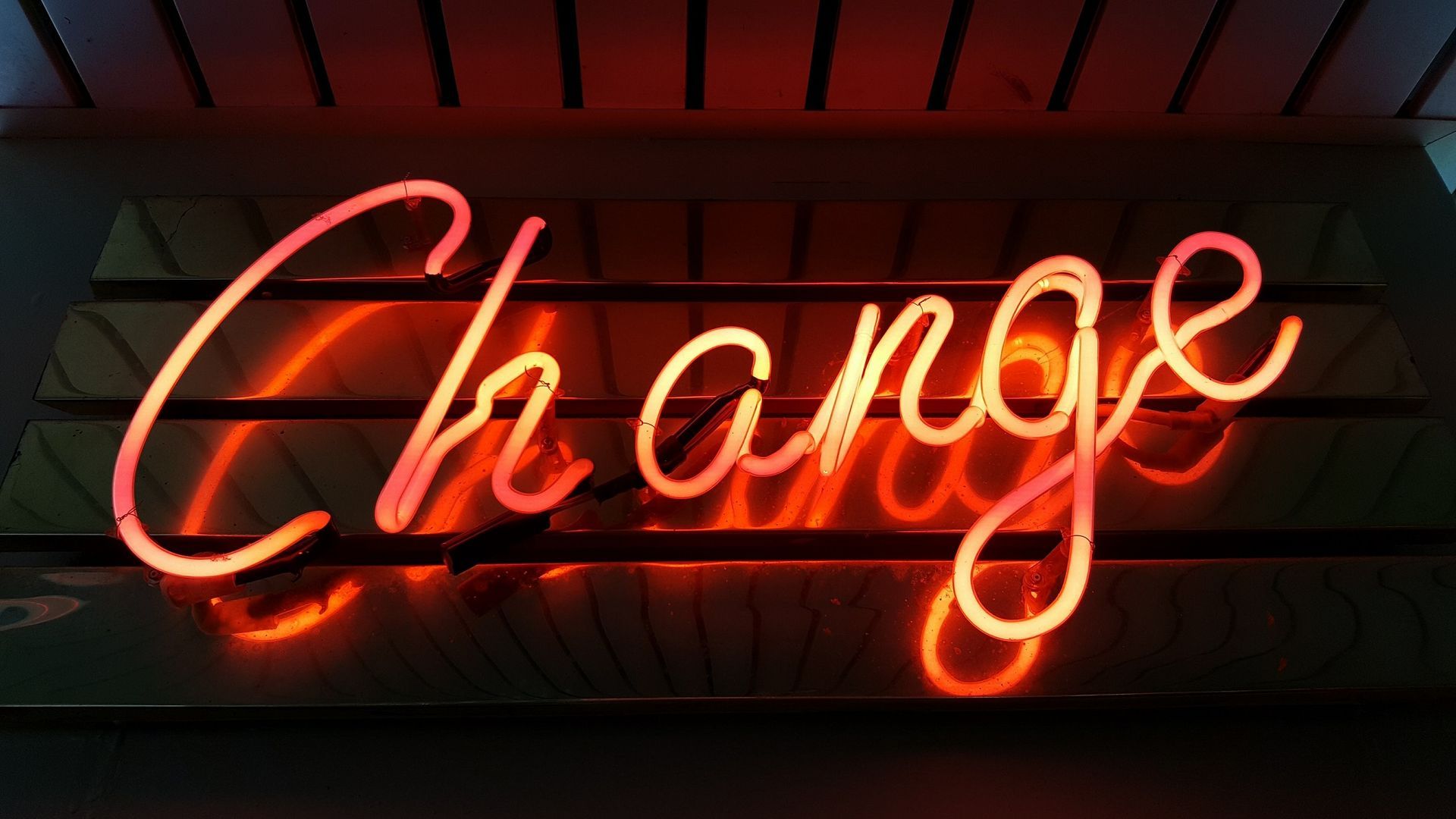 Neon sign displaying the word 