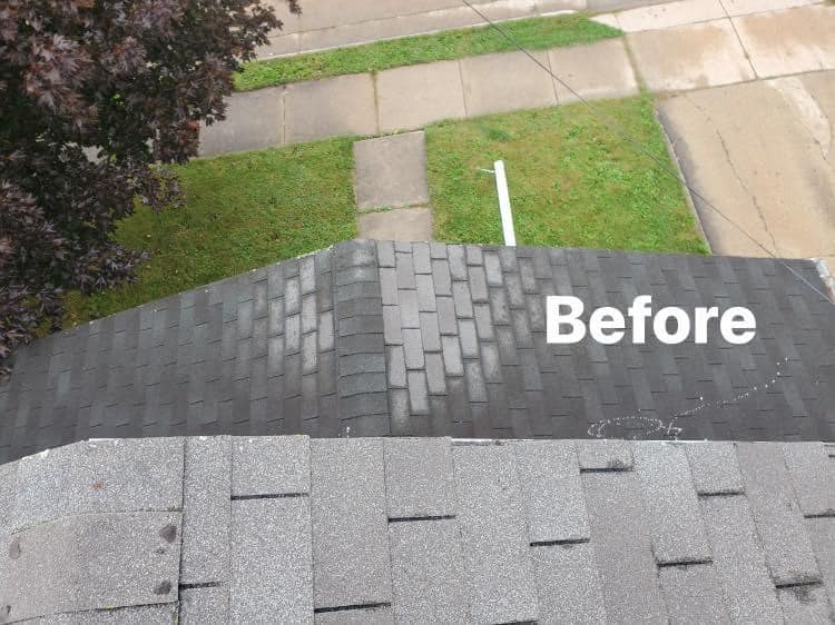 A high-angle view of a roof showing a dark, stained section labeled 