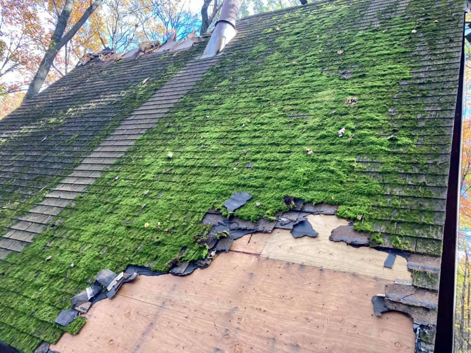 A moss-covered shingle roof with a large section of missing shingles exposing the wooden roof deck underneath.