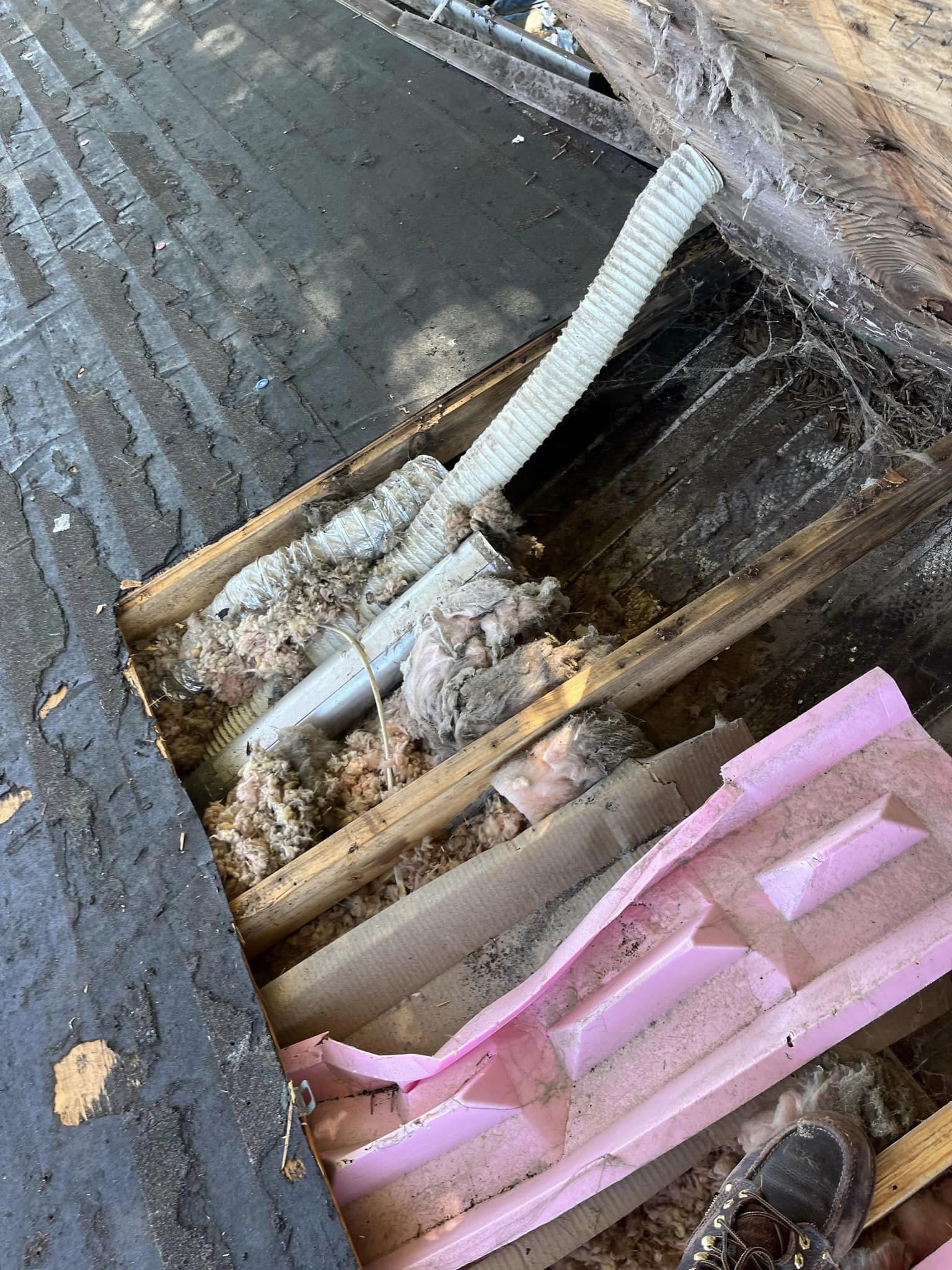 An open ceiling joist bay shows exposed fiberglass insulation, a corrugated plastic pipe, and a piece of pink foam board.