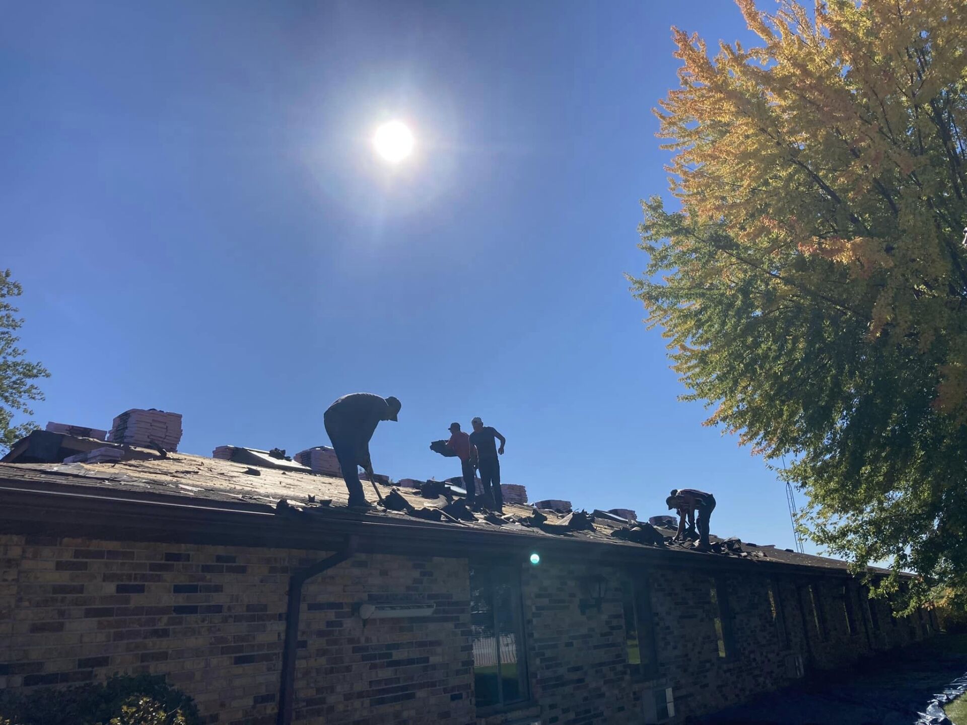 Workers in silhouette remove shingles from a house roof on a bright, sunny day with a tree to the right.