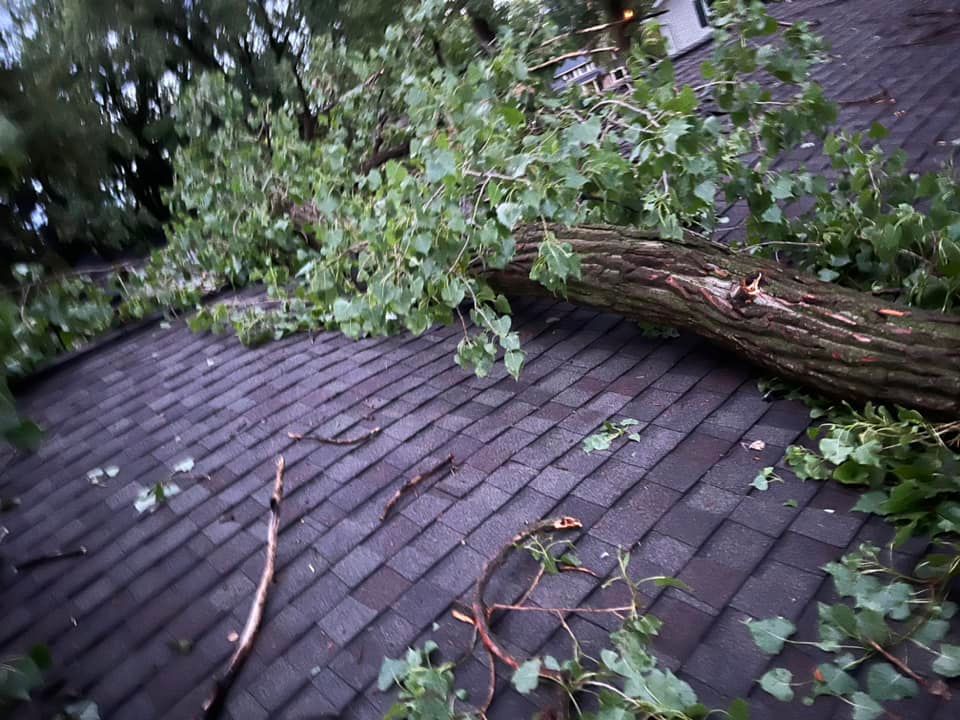 A large tree limb lying across the dark shingled roof of a house after a storm.