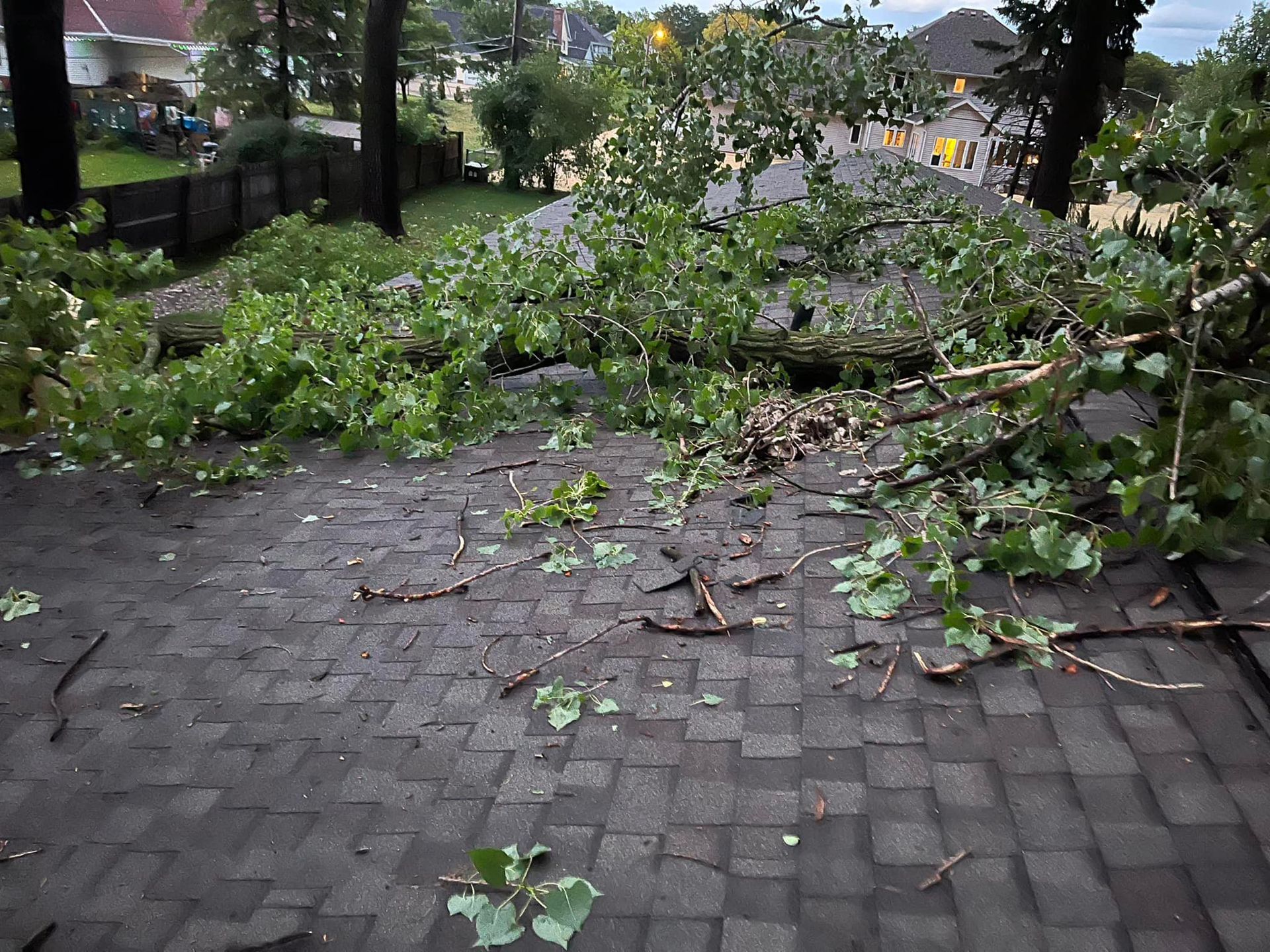 A fallen tree branch lies across a gray shingled roof after a storm.