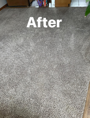 A picture of a carpet after being cleaned.