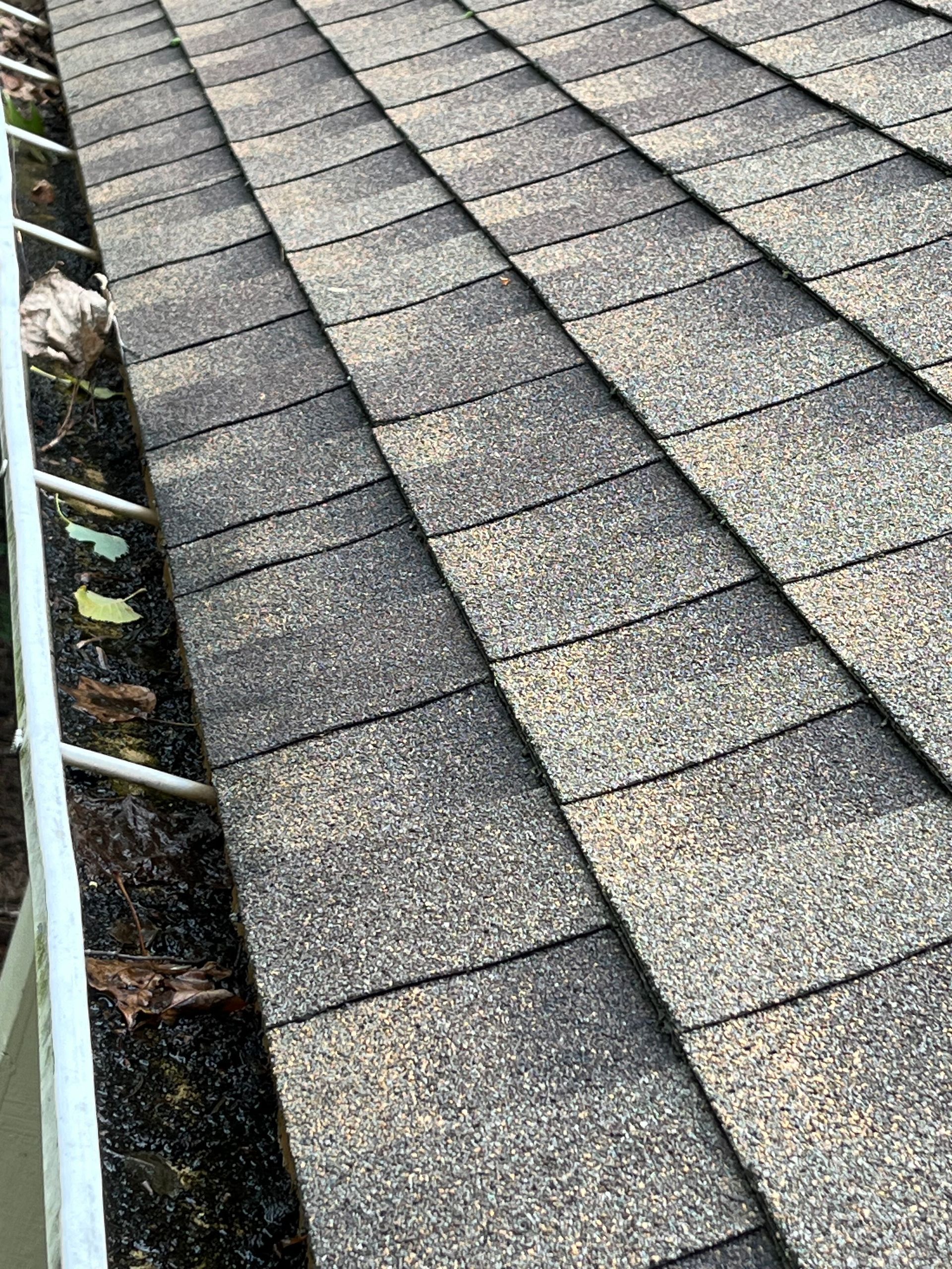 A dirty gutter seen from above before a gutter cleaning is performed