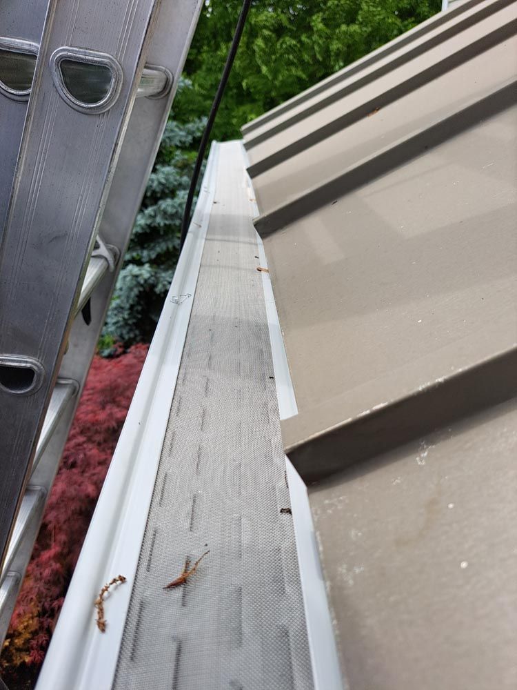 New gutter guards freshly installed on a gutter system. The ladder is still leaning against the house.