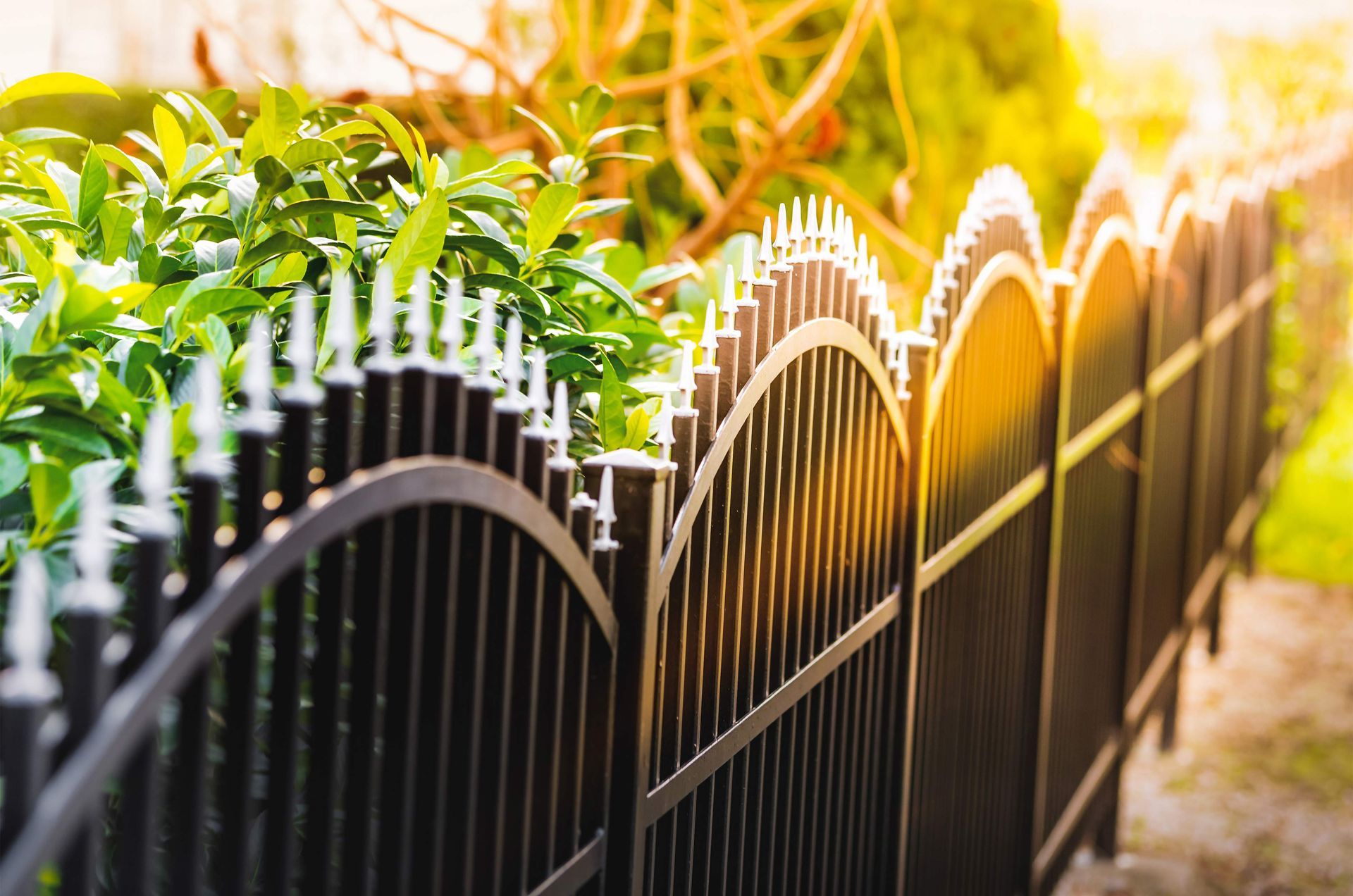 Black metal garden fence with curved tops beside green leaves in warm sunlight Black metal garden fence with curved tops beside green leaves in warm sunlight