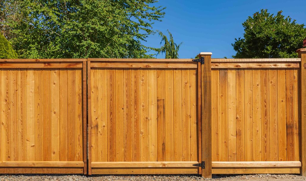 Wooden privacy fence with tan posts lining a roadside, with trees behind it. Wooden privacy fence with tan panels and brown posts under a clear blue sky