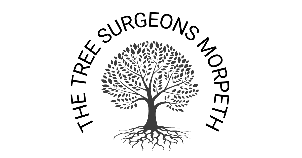 The Tree Surgeons Morpeth logo
