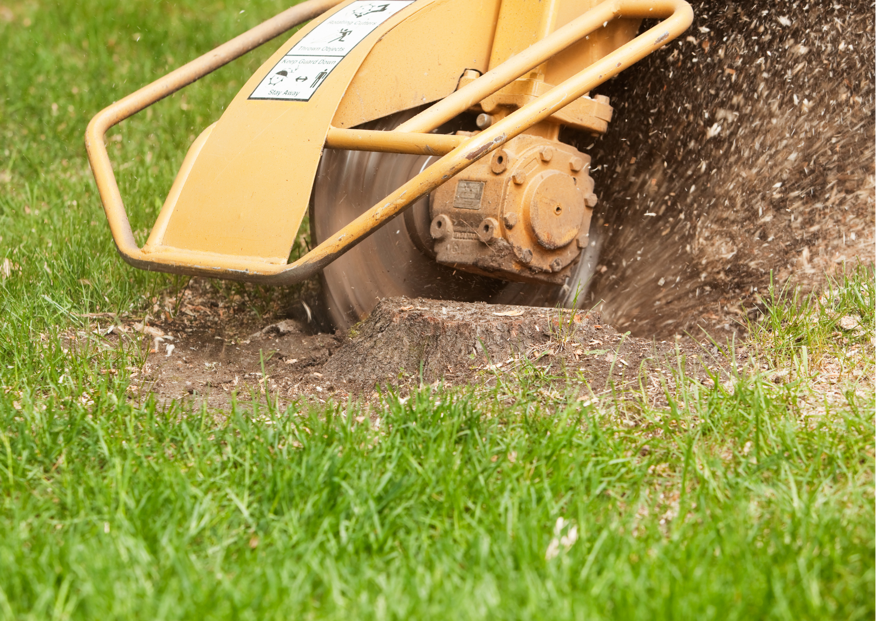 Stump Grinding