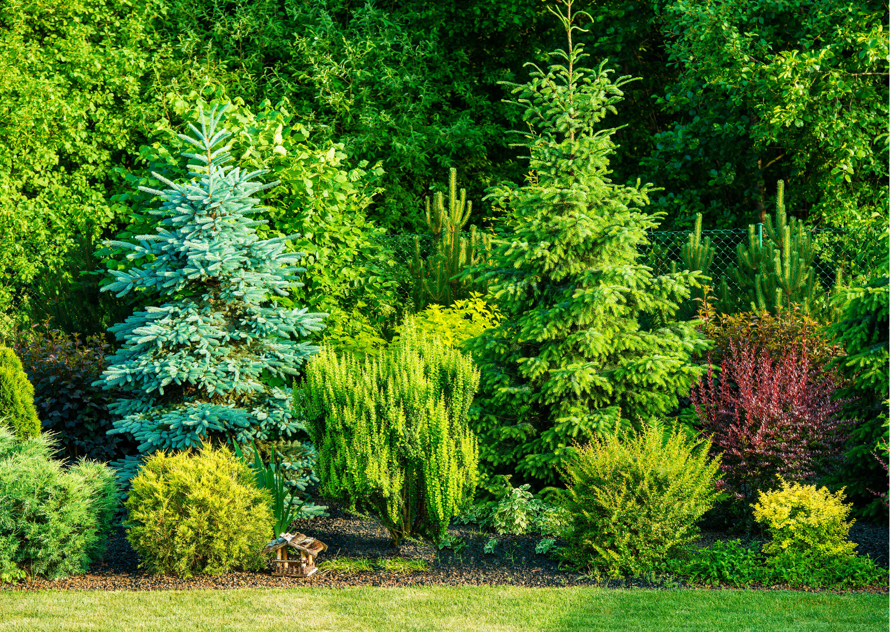 Tree Surgeons Morpeth