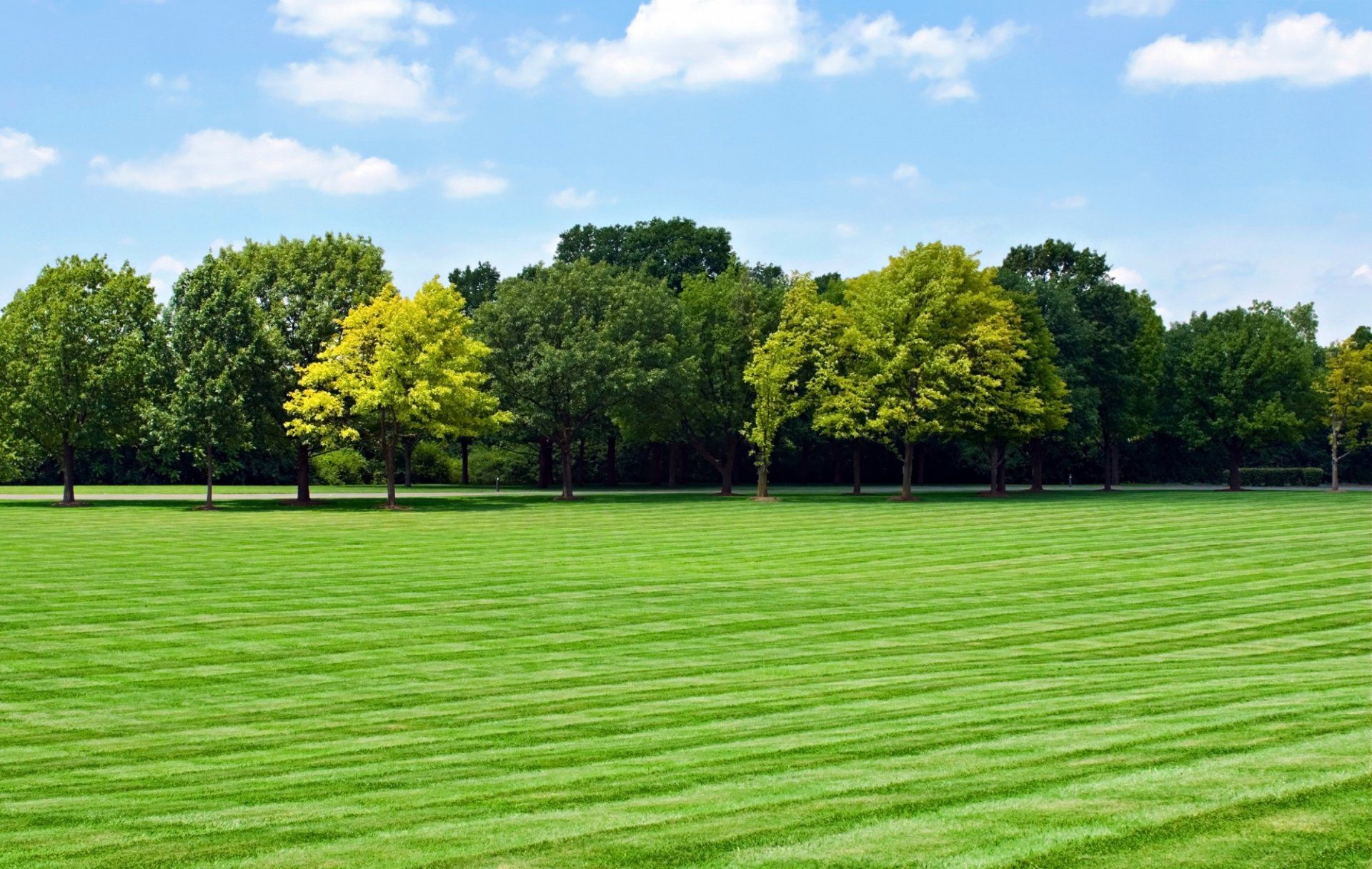 Fertilization in Yarmouth, MA | JLC Irrigation & More