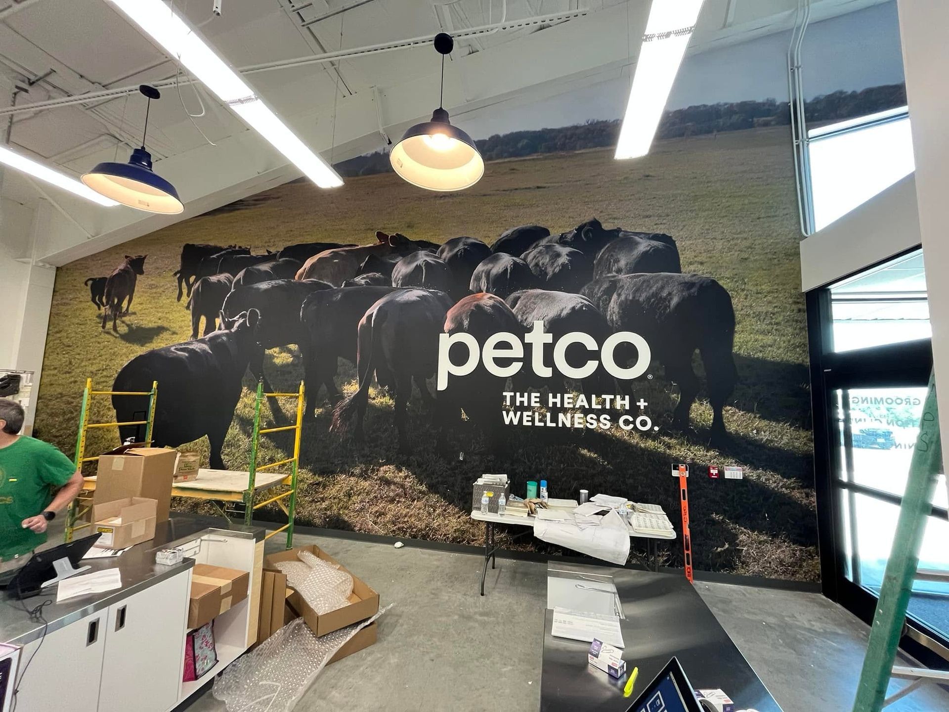 Petco store interior with large black wall mural, counters, boxes, and hanging lights