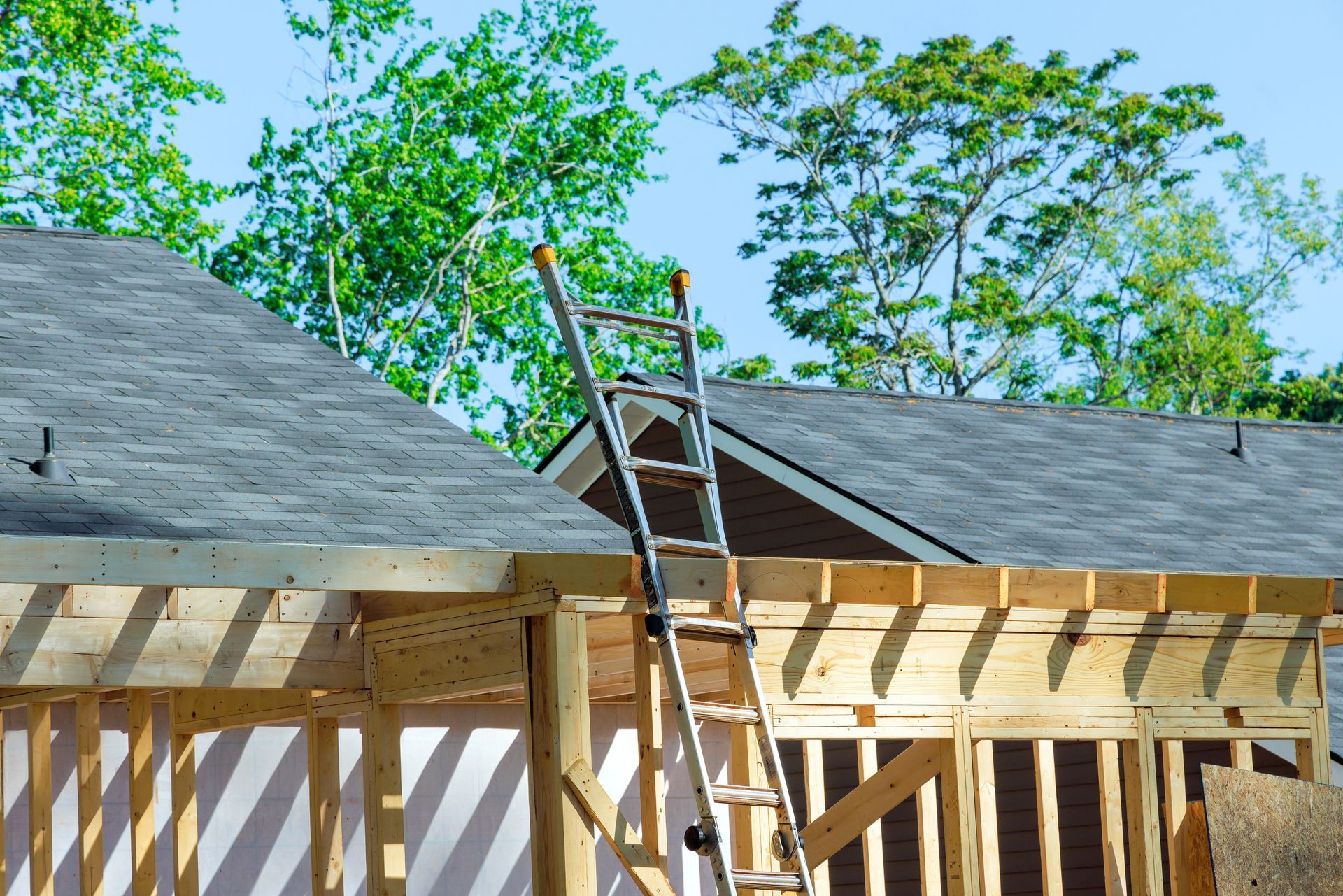 Ladder leaning on a roof during house construction, with exposed wooden framing and trees behind.