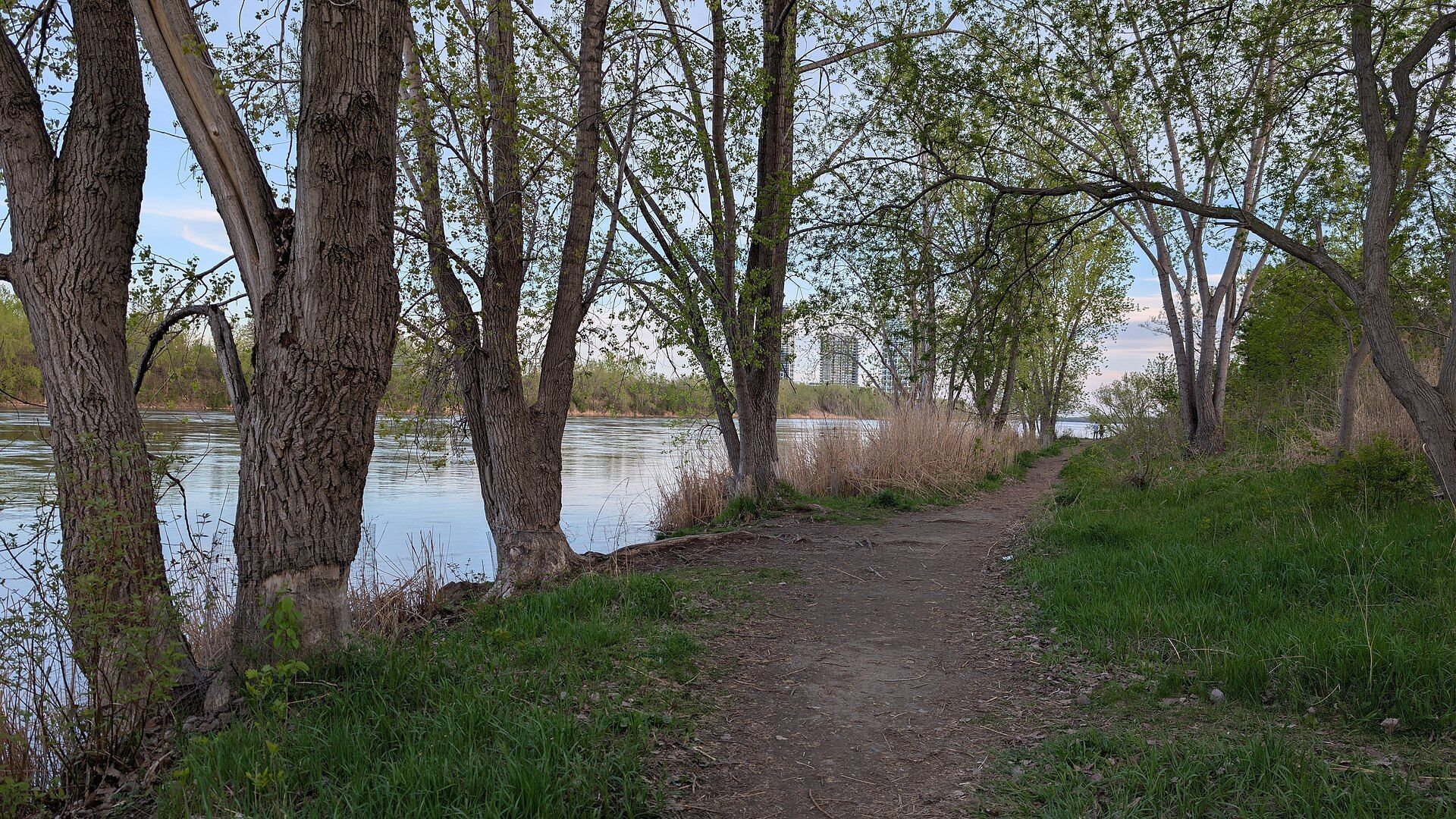 Sentier sur les berges du fleuve Saint-Laurent à Verdun – Plomberie CSM, plombier à Verdun