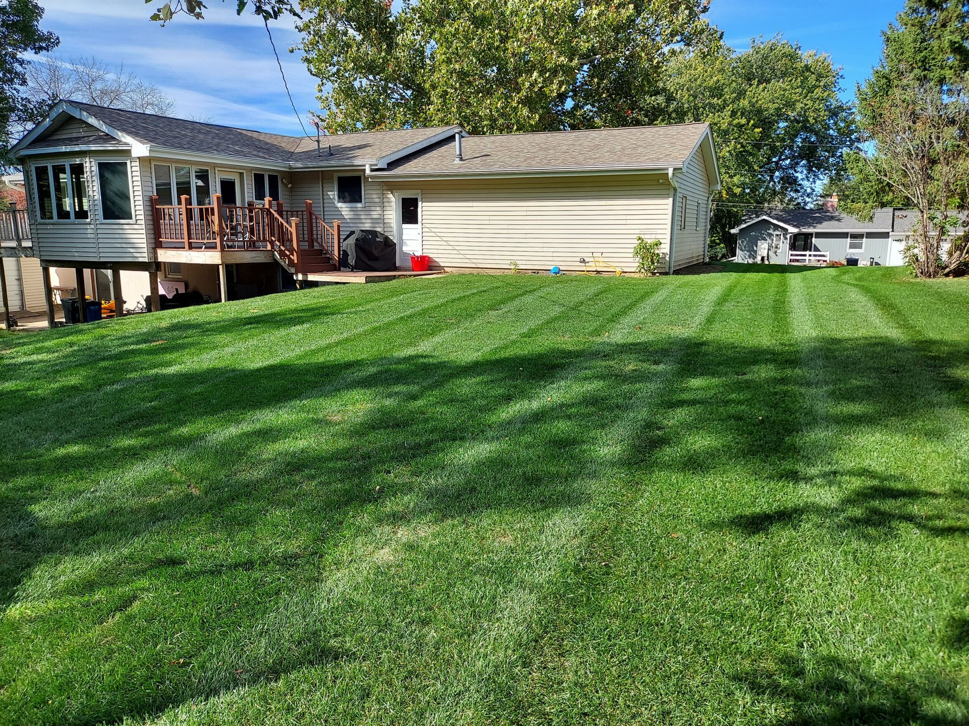 Freshly Mowed Lawn