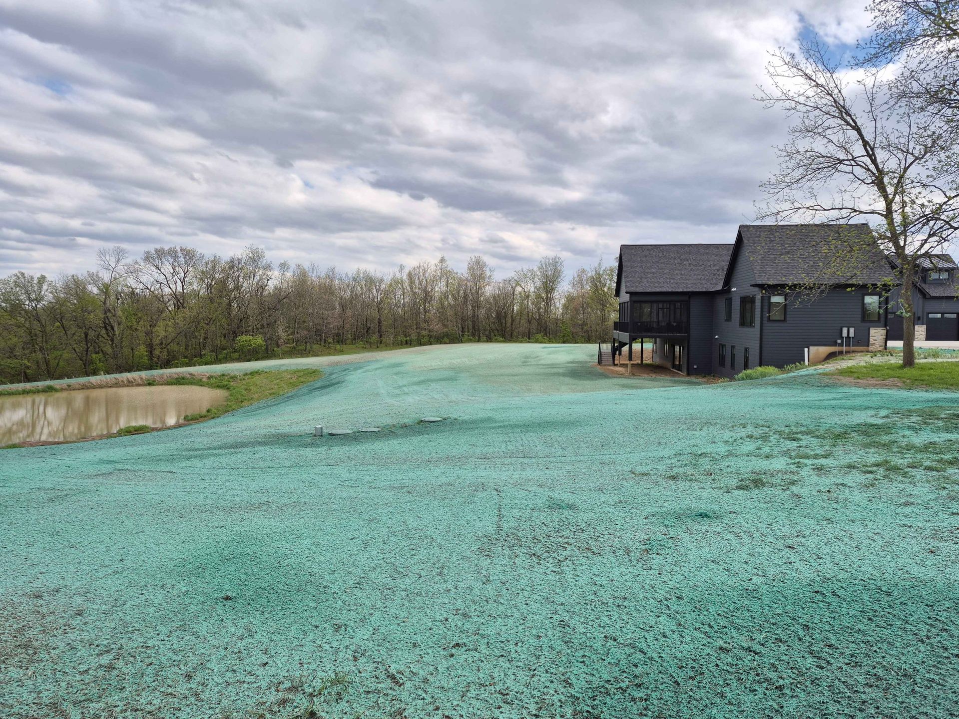 Turquoise flower field beside a dark house under a cloudy sky