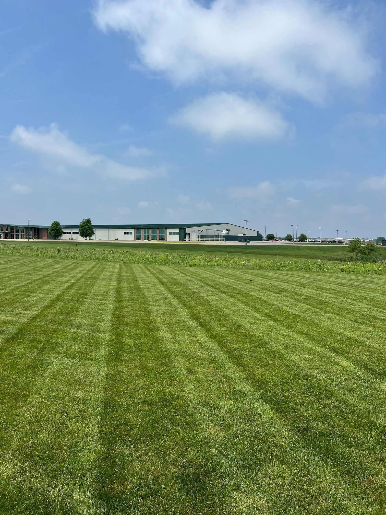 Lawn Mowing