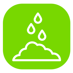 soilIcon