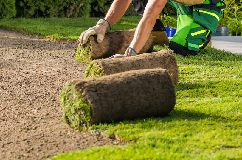 landscaping services