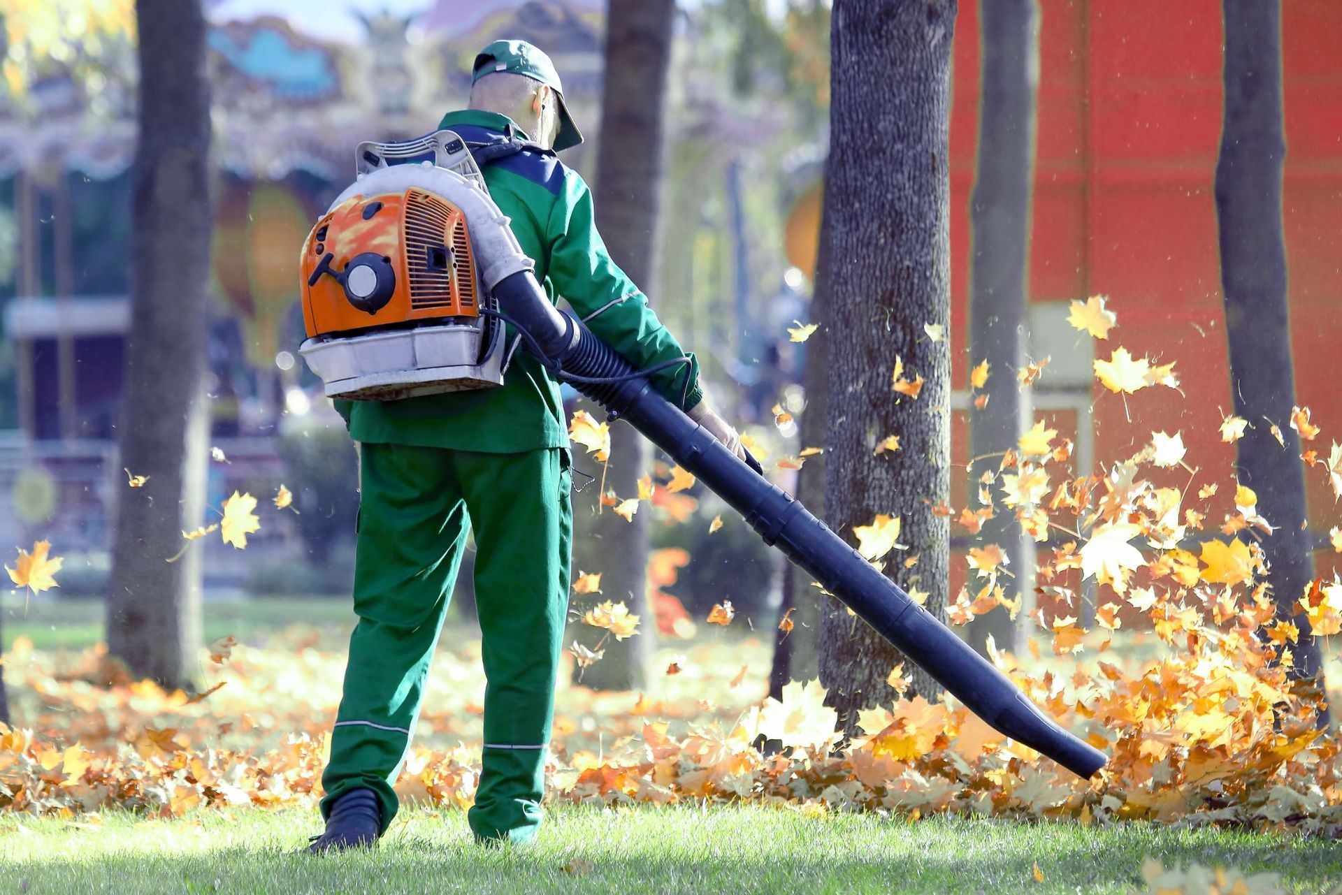 fall leaf removal Norwell MA