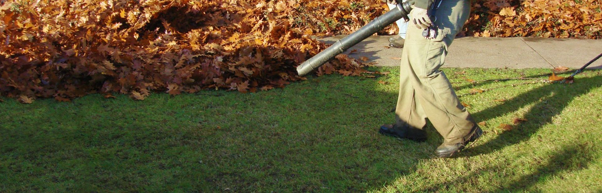 fall cleanup and leaf removal on the South Shore MA